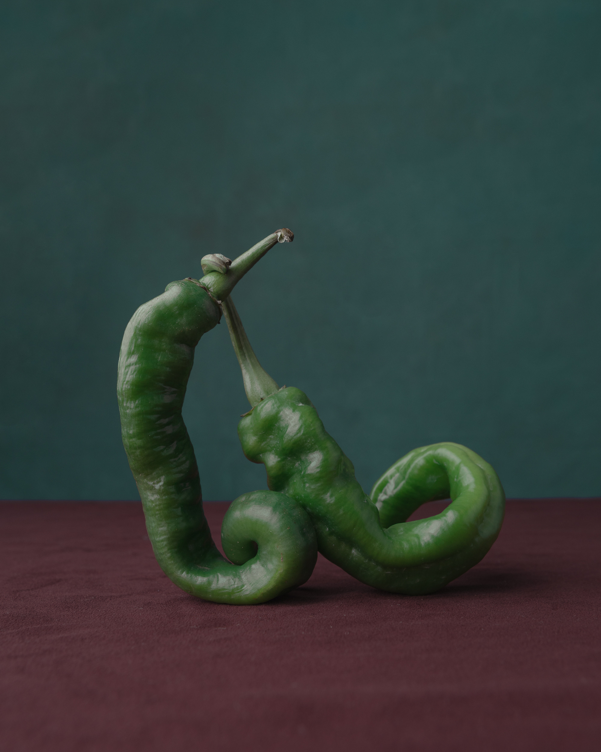 STILL-LIFE. Marina Eng. Art Photographer. New York