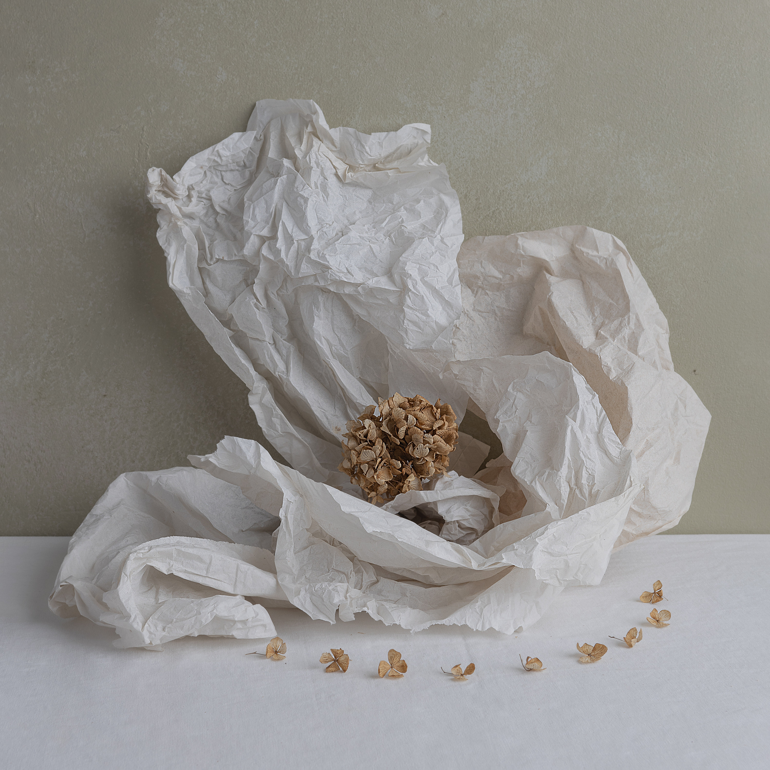 STILL-LIFE. Marina Eng. Art Photographer. New York