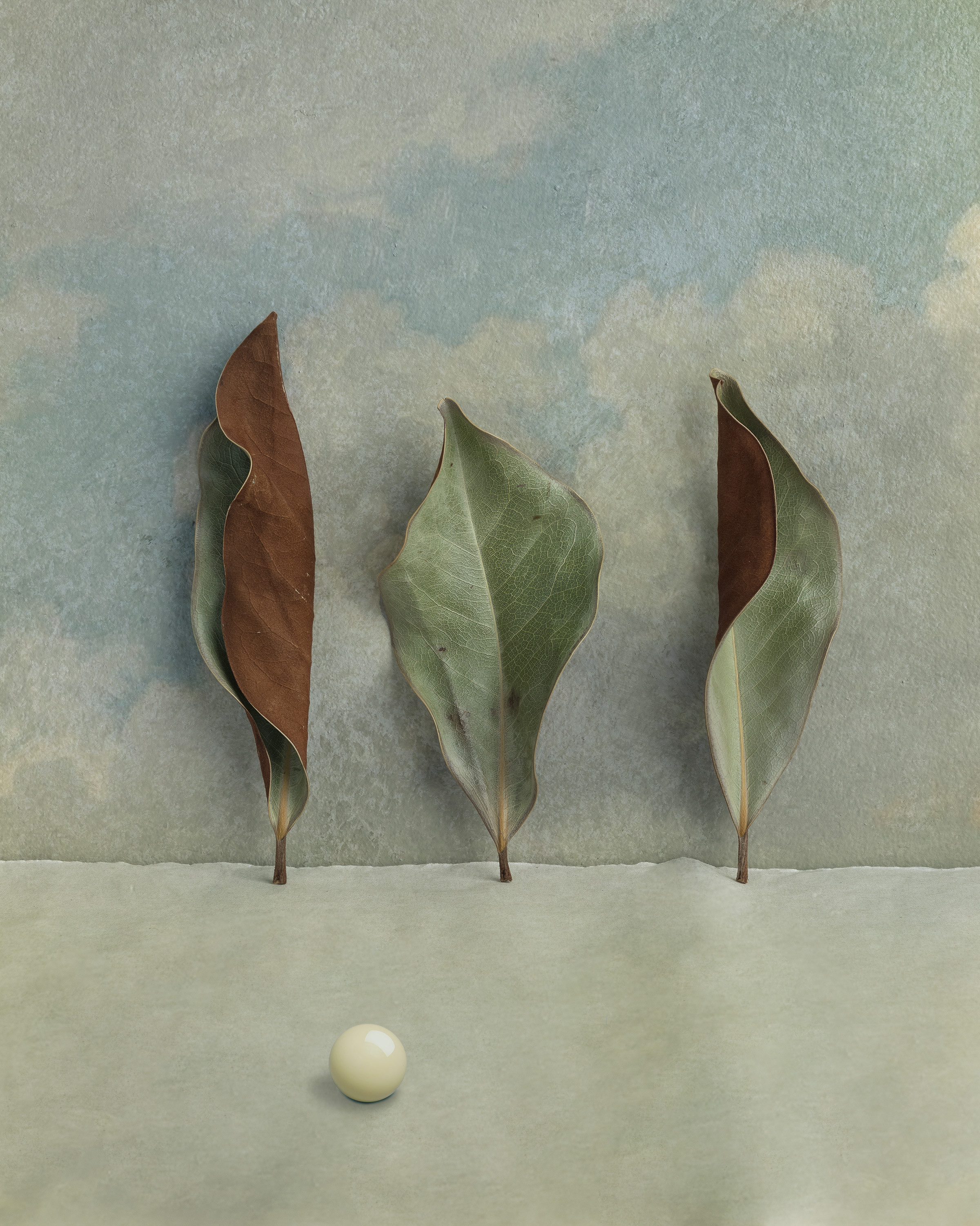 STILL-LIFE. Marina Eng. Art Photographer. New York