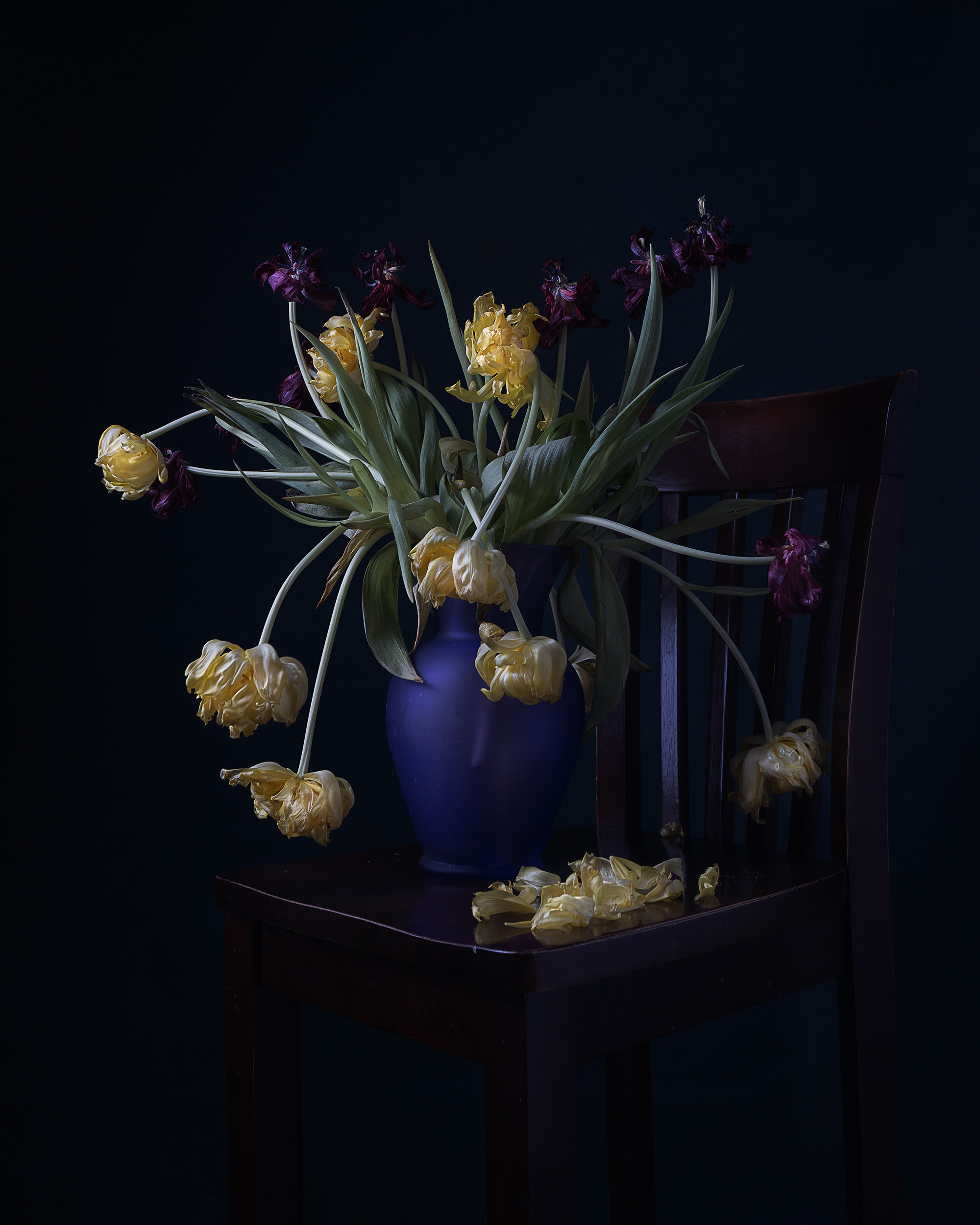 STILL-LIFE. Marina Eng. Art Photographer. New York