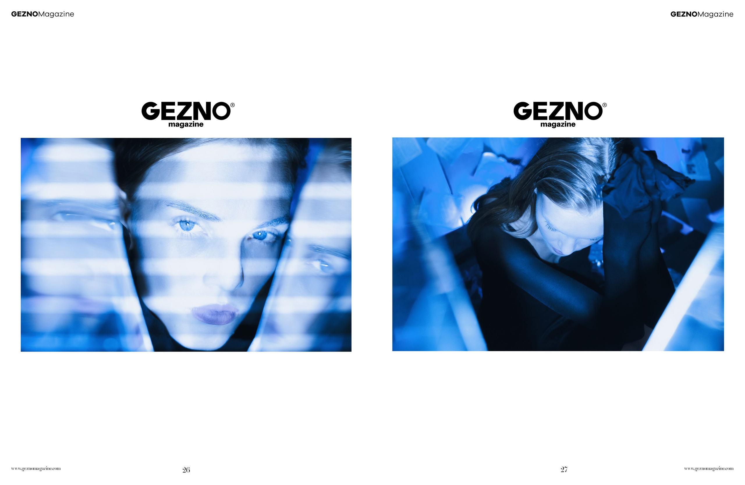 The best publications of the project R136a1