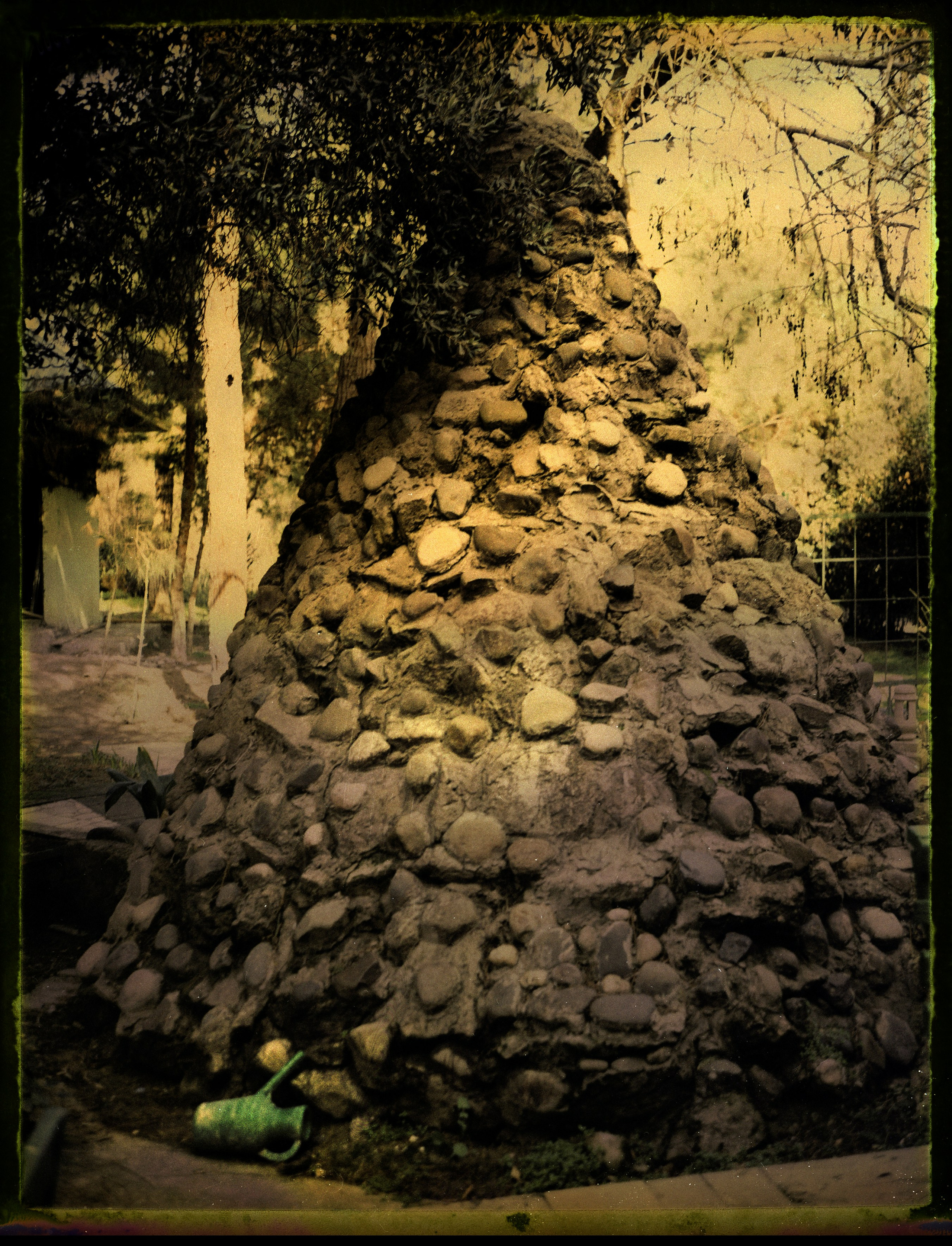 POLAROID. Www.sananaleskerov.com