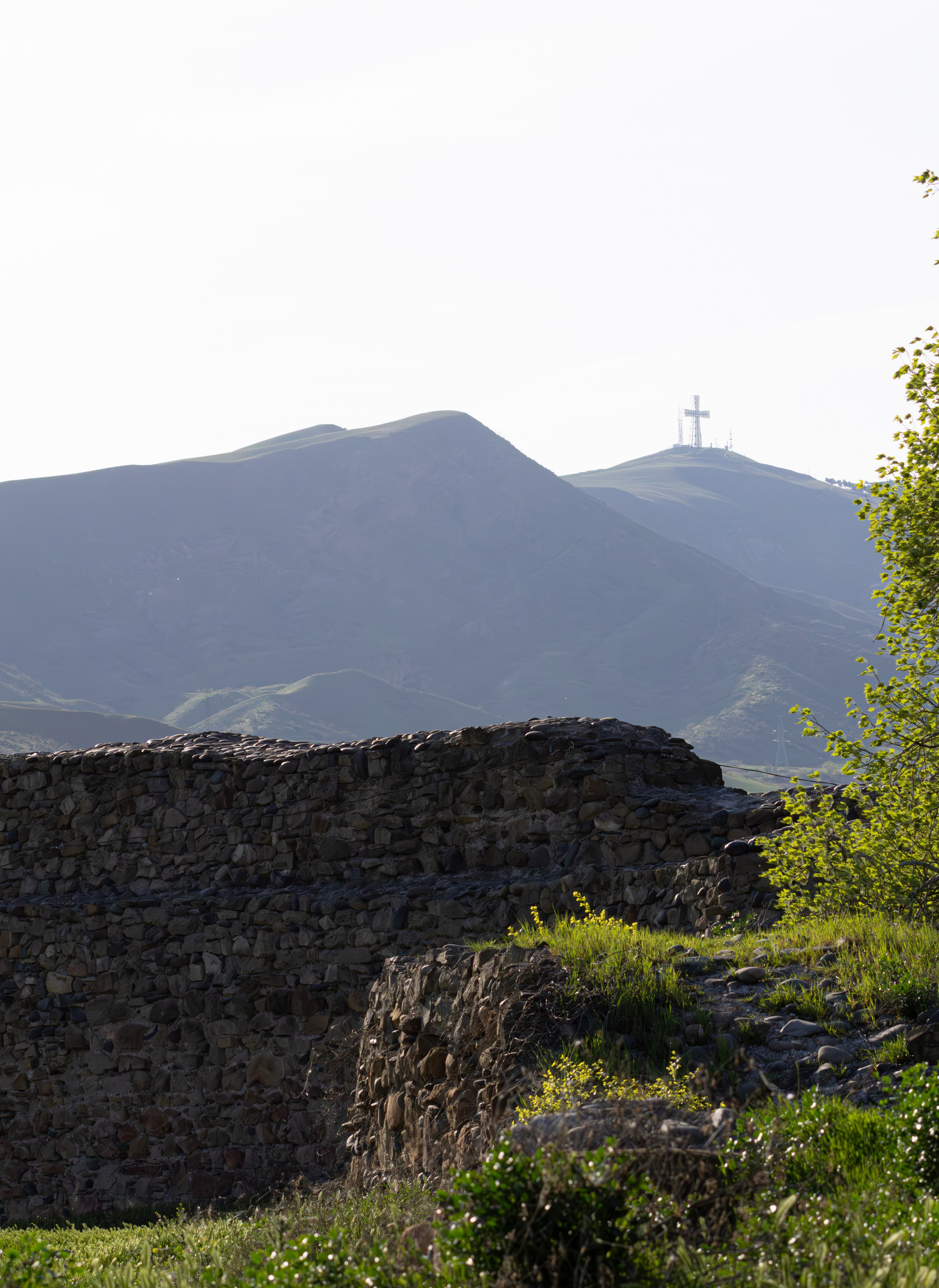 გასეირნება რუსთავის პარკში. FramefreeMan