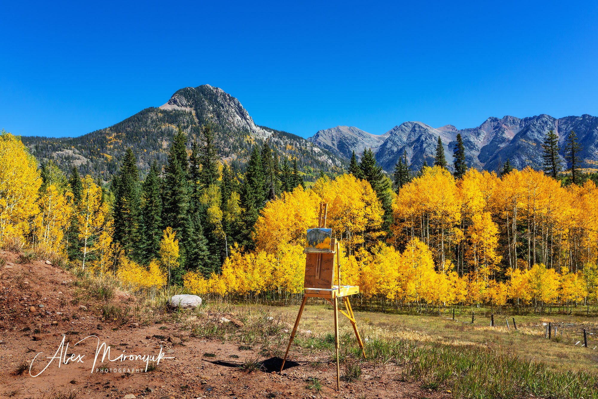 Fall Colors Of Colorado. Pet, Senior, Landscape, portrait studio, photographer in Miami and Sou