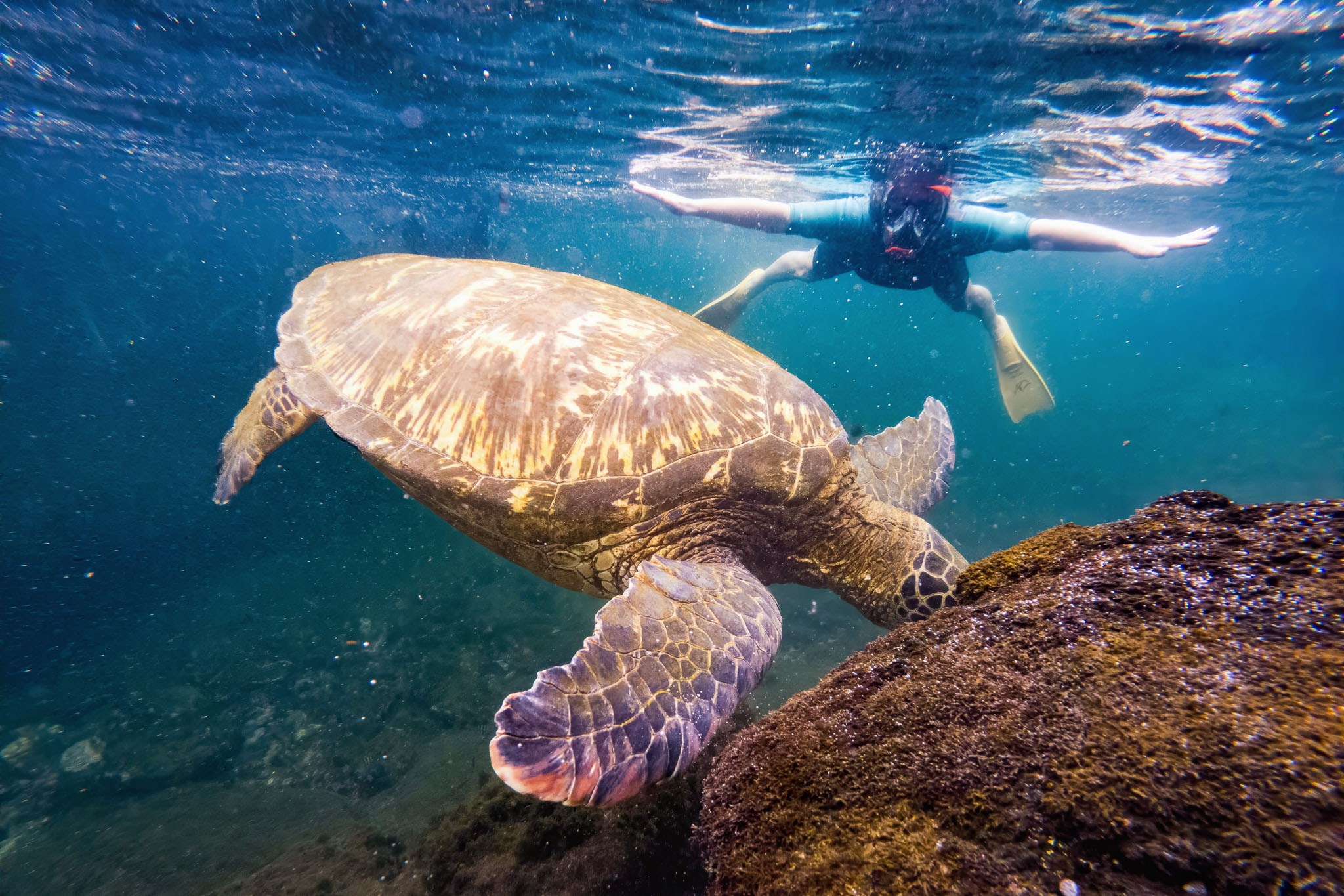 Galapagos Islands Adventure. Alex Mironyuk Photography