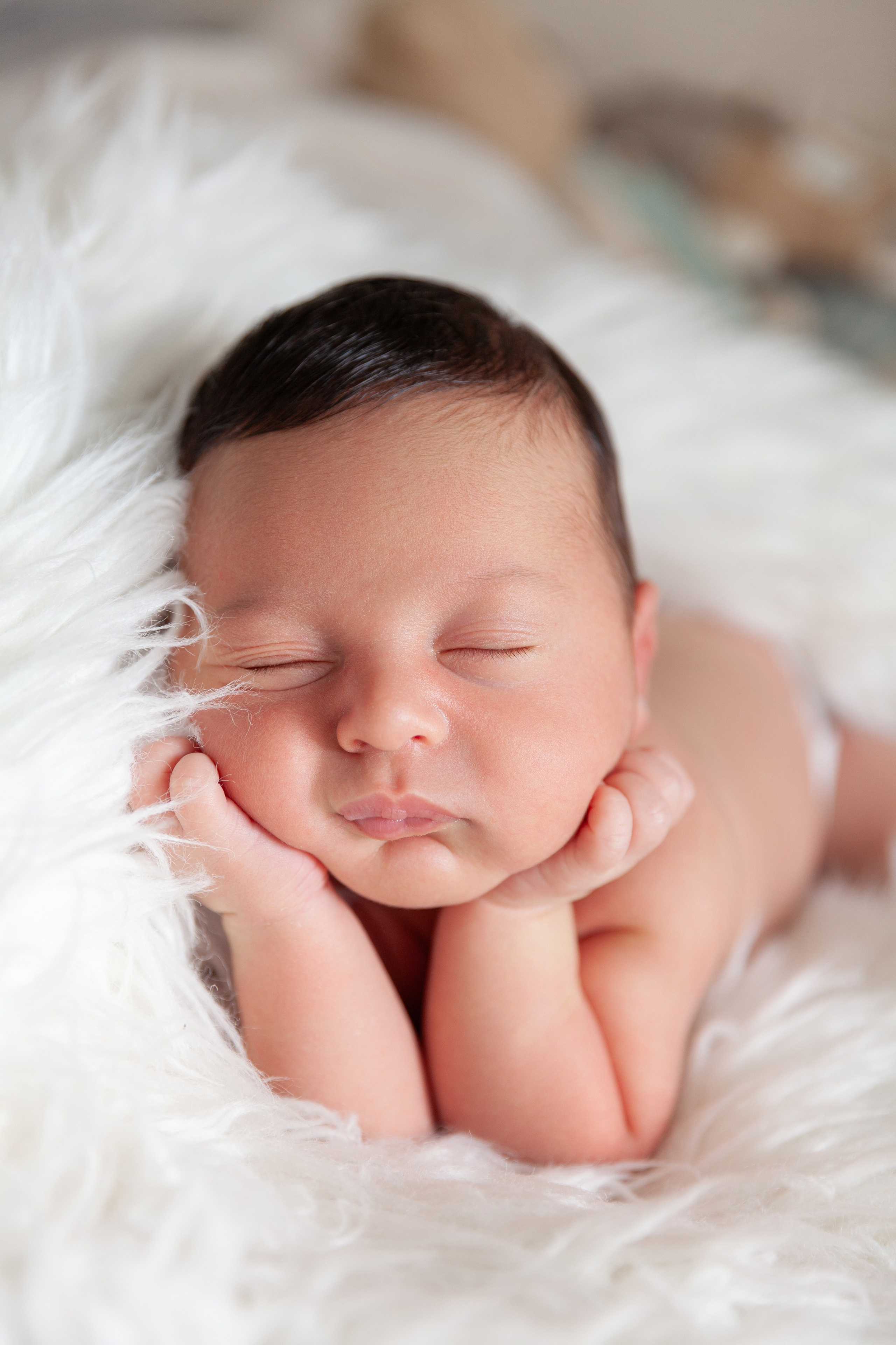 Services. Marina Pravda Photography San Francisco Bay Area