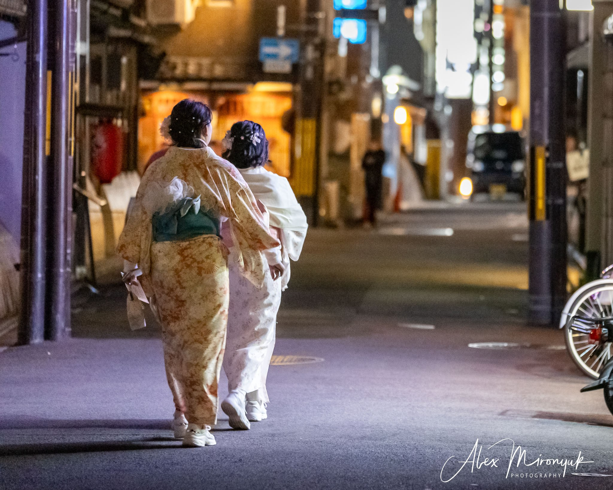 Autumn Colors of Japan. Pet, Senior, Landscape, portrait studio, photographer in Miami and Sou