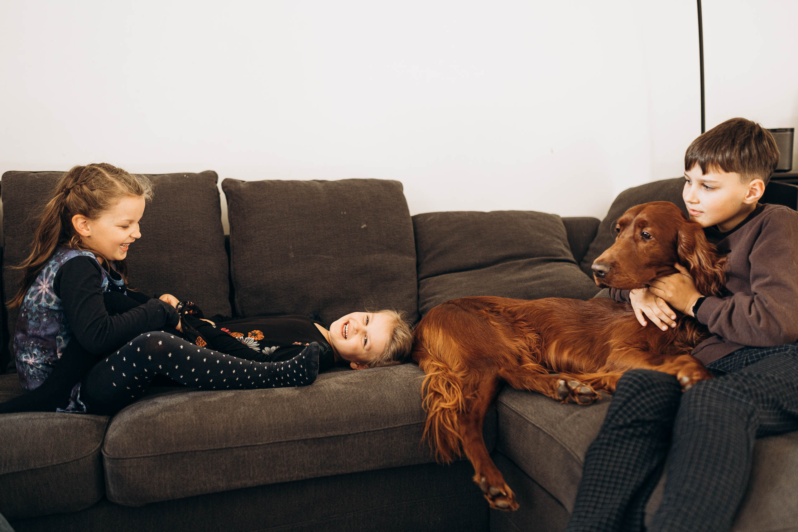 LIELA ĢIMENE UN SUNS