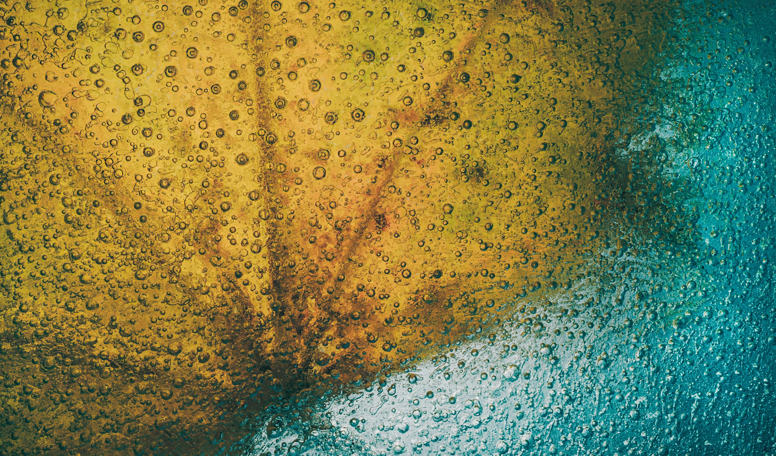 Creative Macro Photographer & Content Creator in Birmingham, UK — Lee Hall