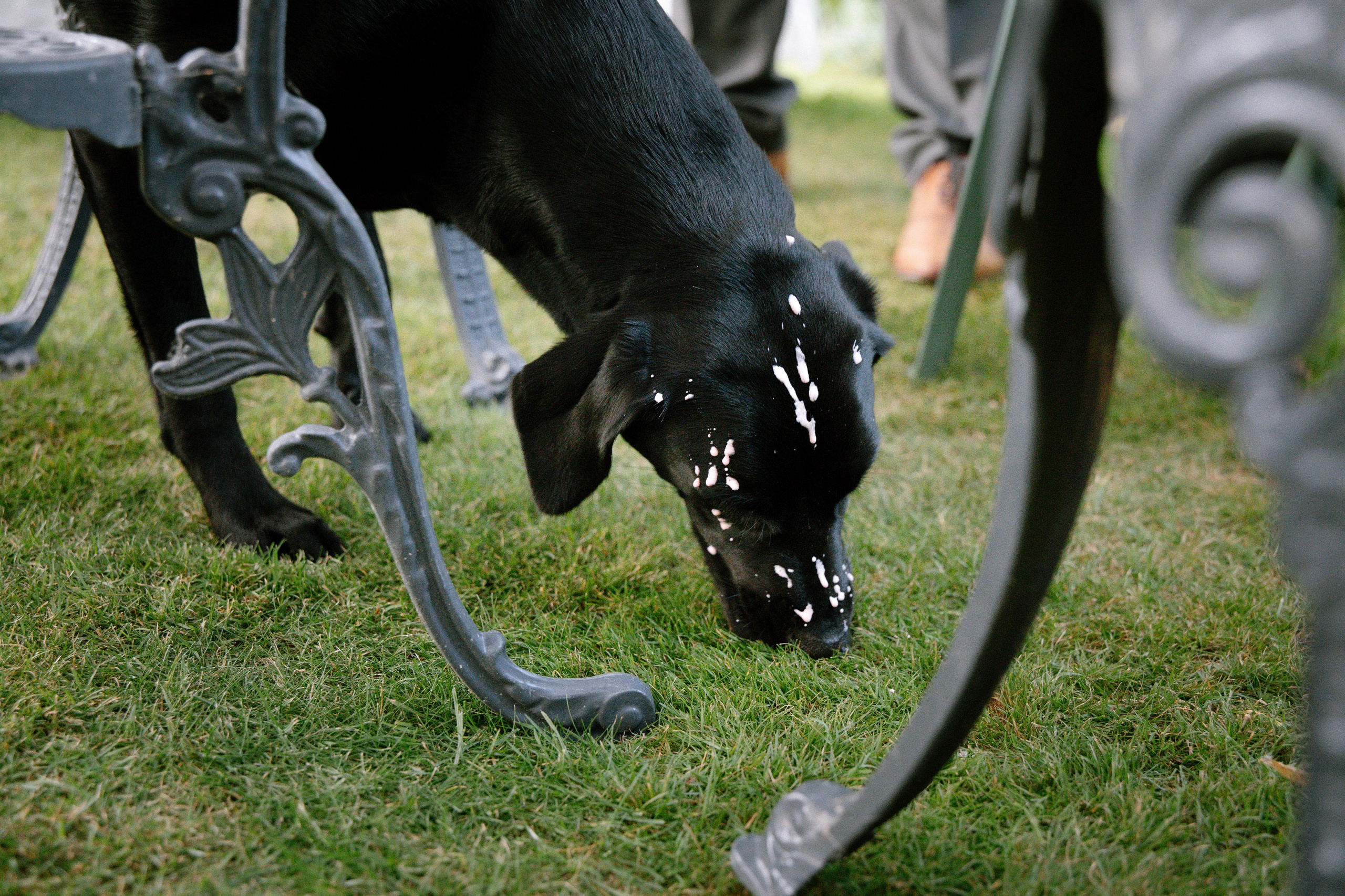 Intimate and emotional wedding. Timeless Wedding & Event Photography from London to the world