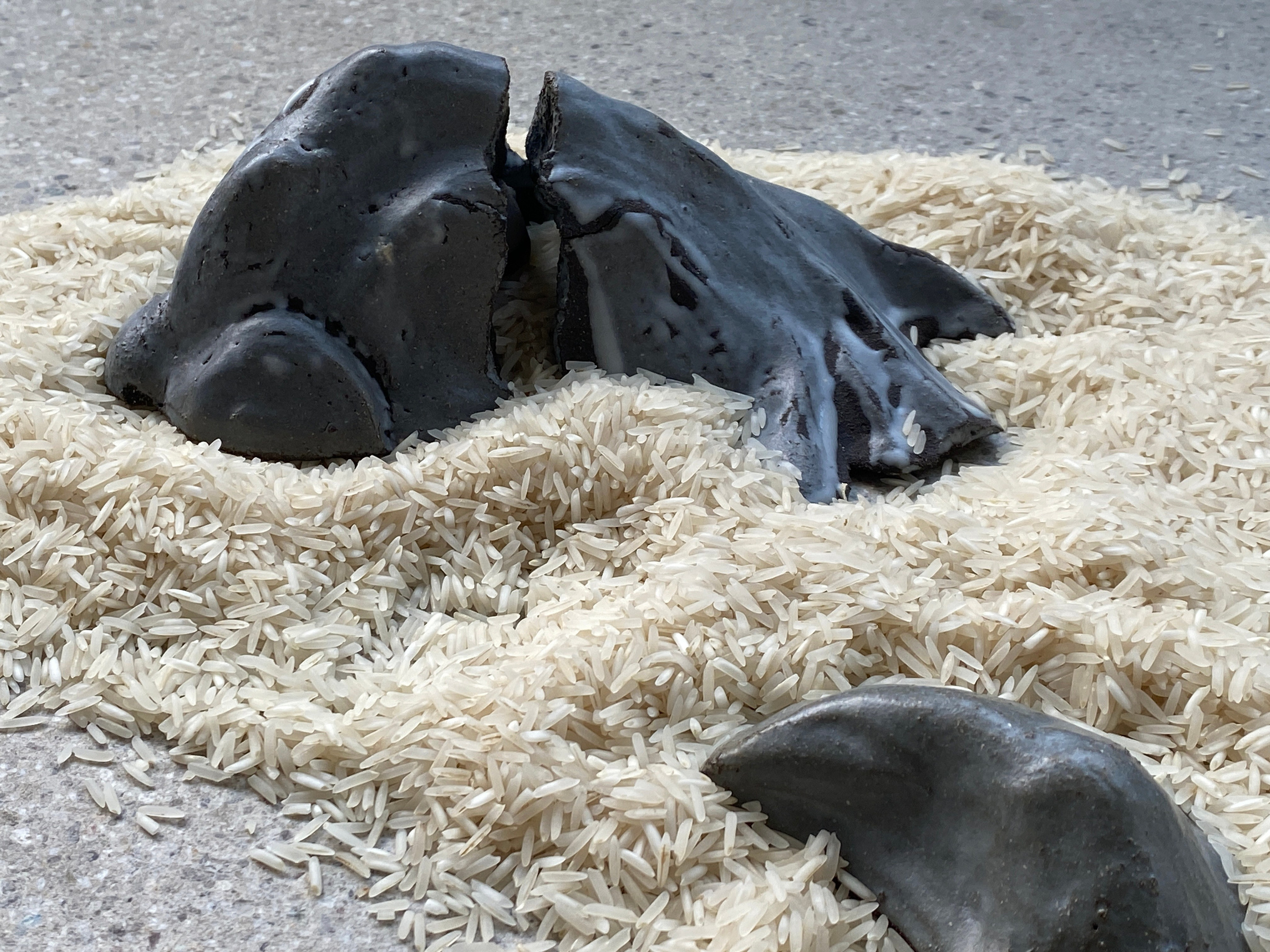 Ceramique, riz et ensens. Installation variable