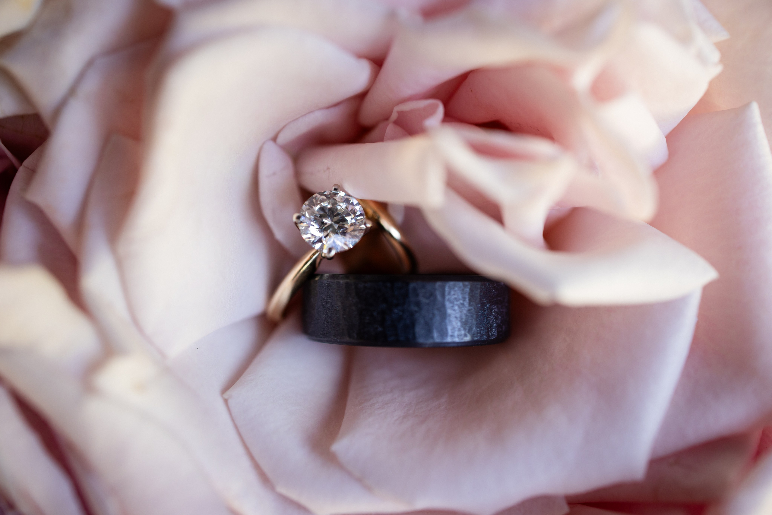 Jacob and Emma: A Wedding at Deerwoode Reserve, Brevard North Carolina. Wedding and portrait photography in Greenville SC