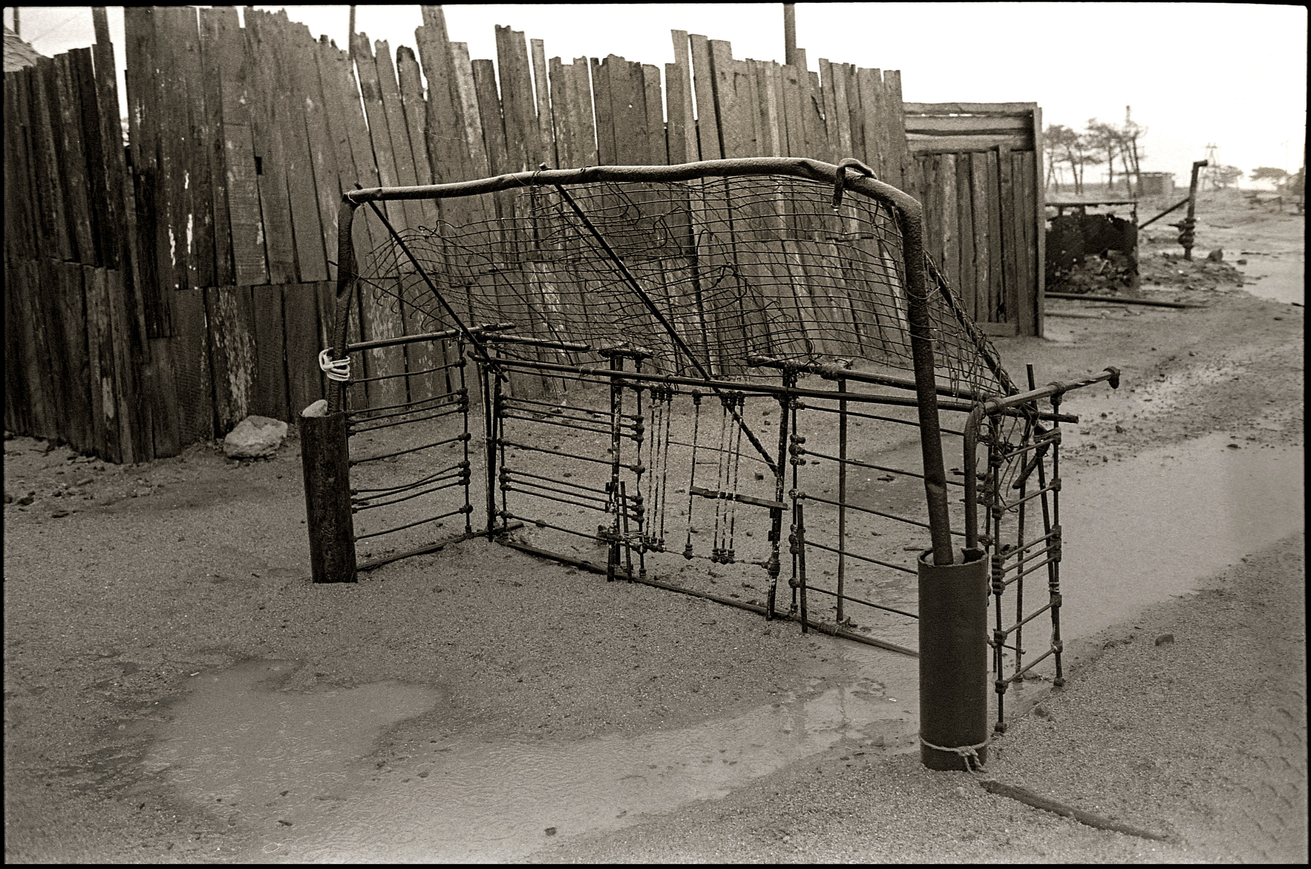 FIELD OF THE MASTER. Www.sananaleskerov.com