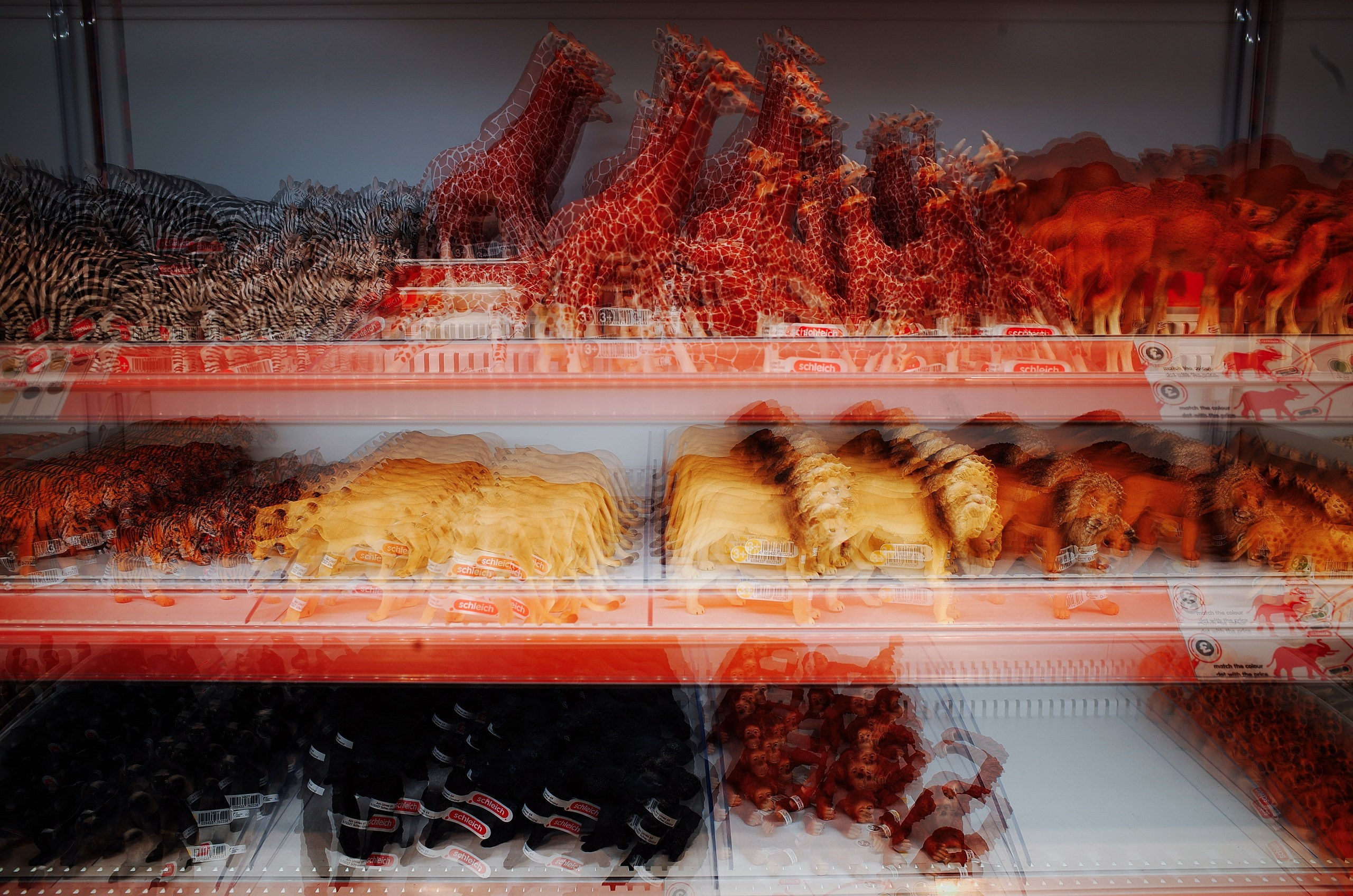 Prints. Виктория Дини. Арт-фотография