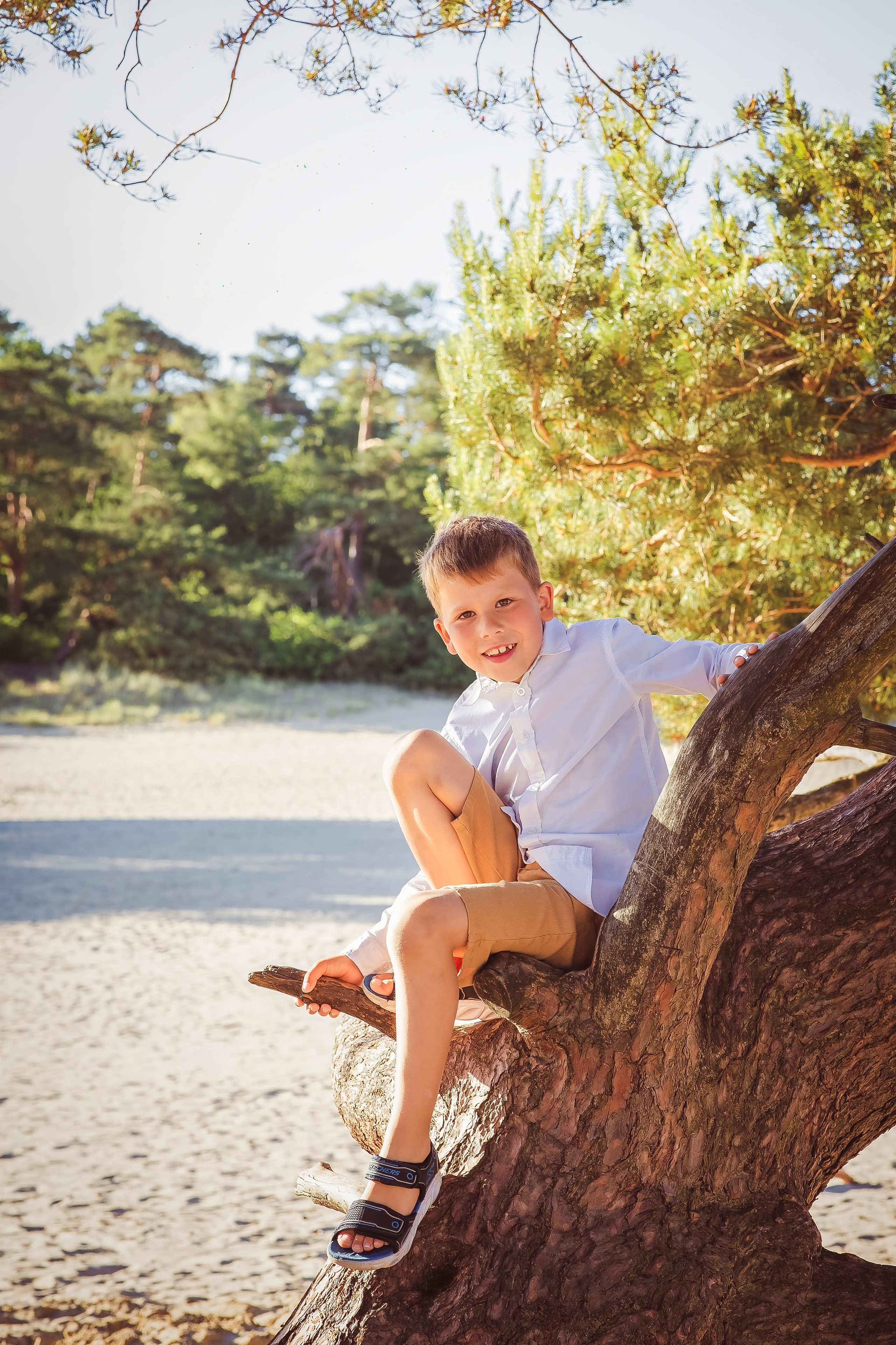 Een jongen zit in de boom