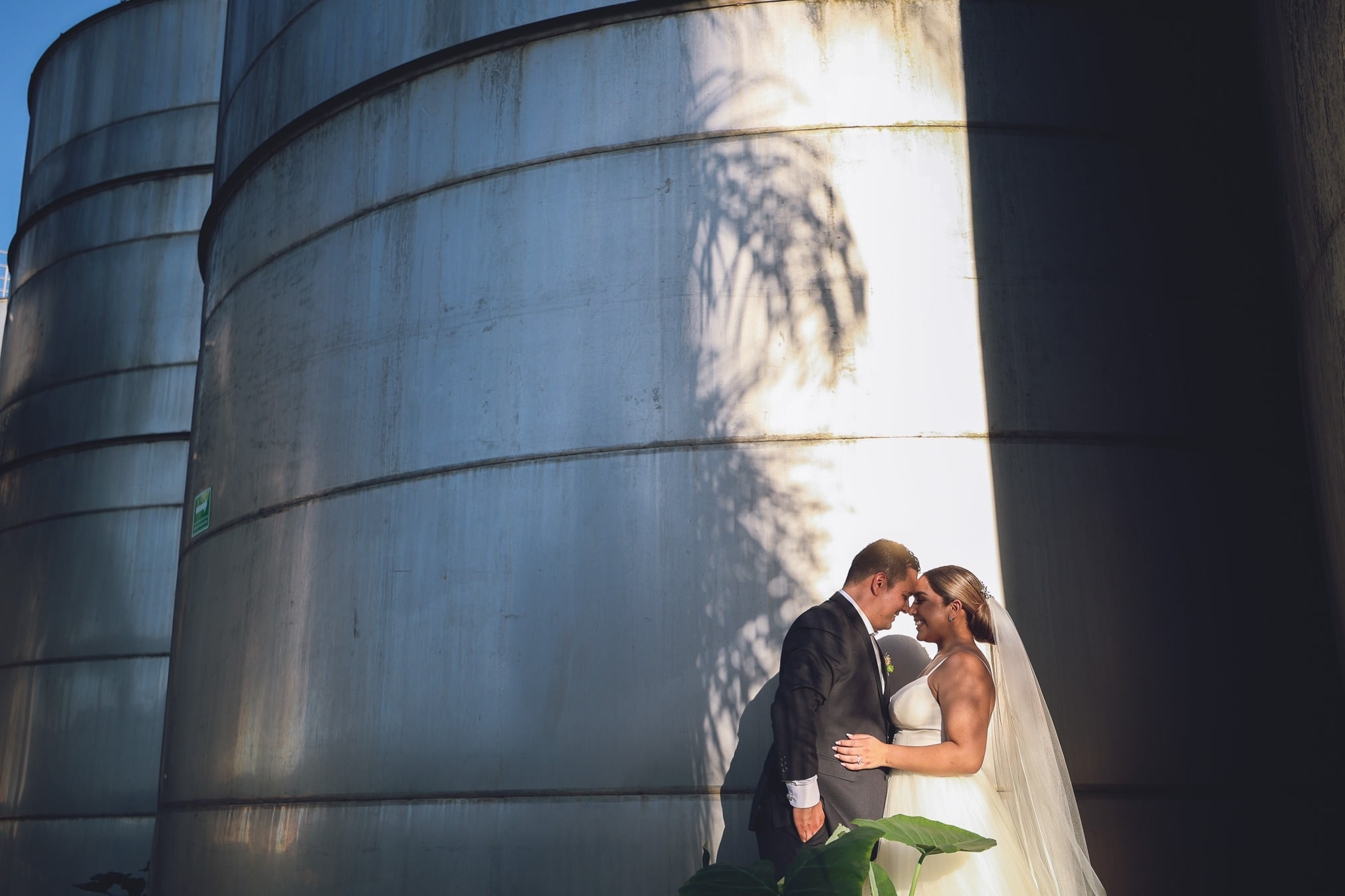 LA Cetto Valle de Guadalupe Boda Araceli e Israel. Estudio de fotografia en Tijuana