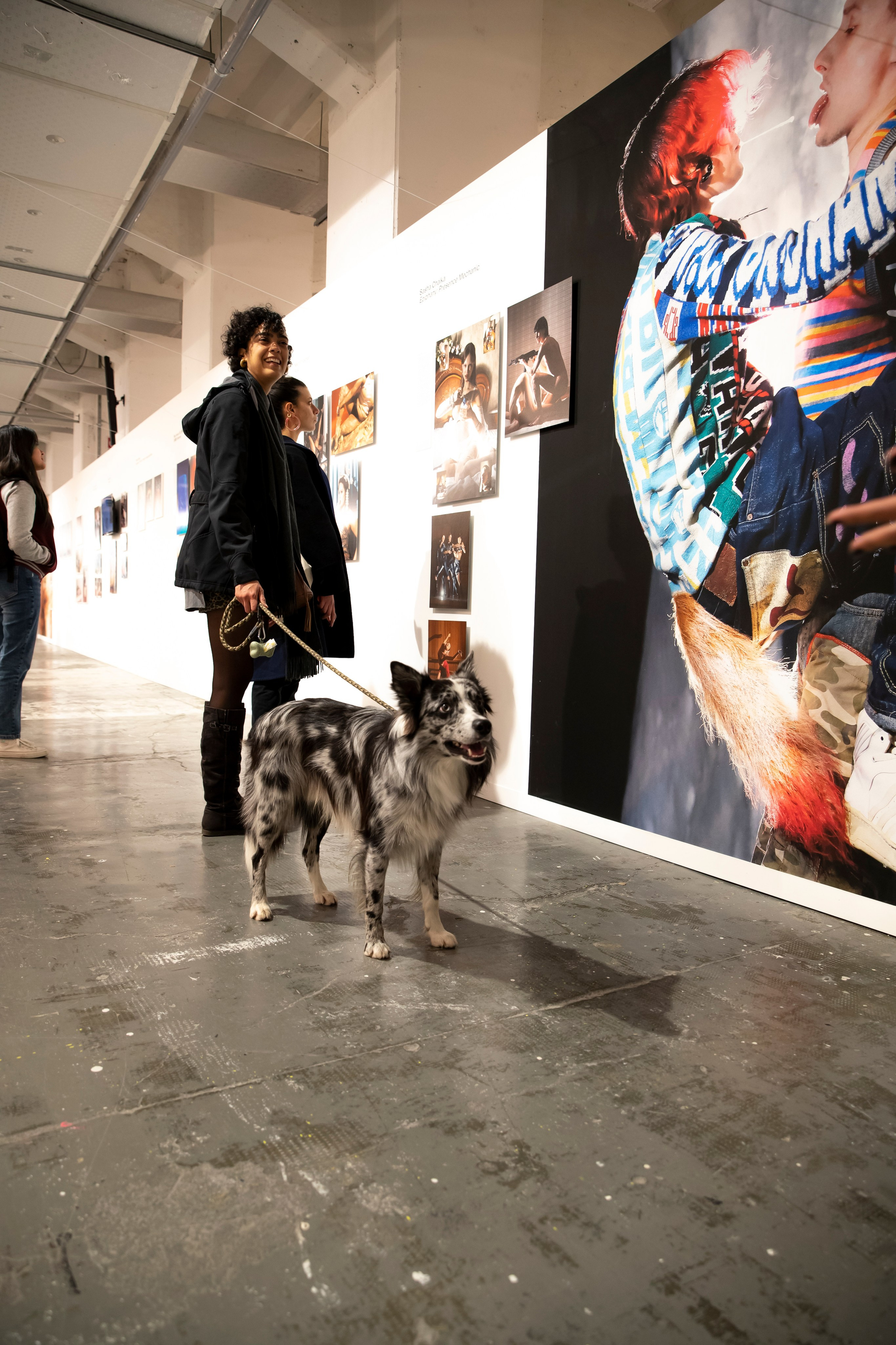 Exhibitions. Sasha Chaika