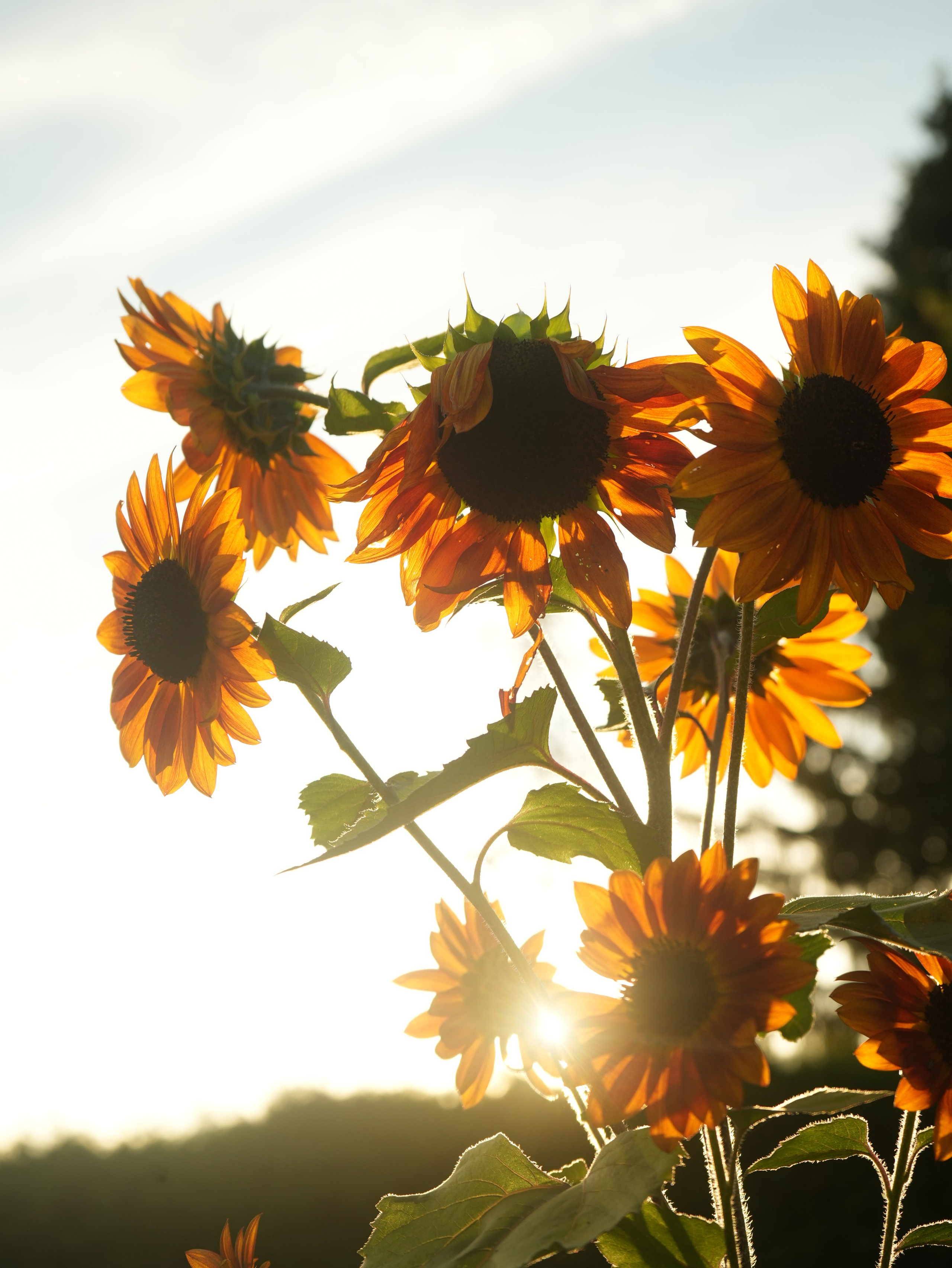 Personal. Photography / Videography Niagara | Toronto