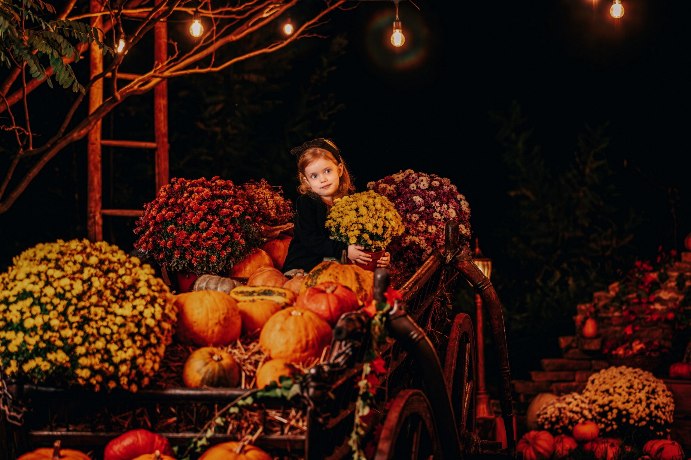 STUDIO. Fotografi iz Backog Petrovca David i Andrea Stojanovic