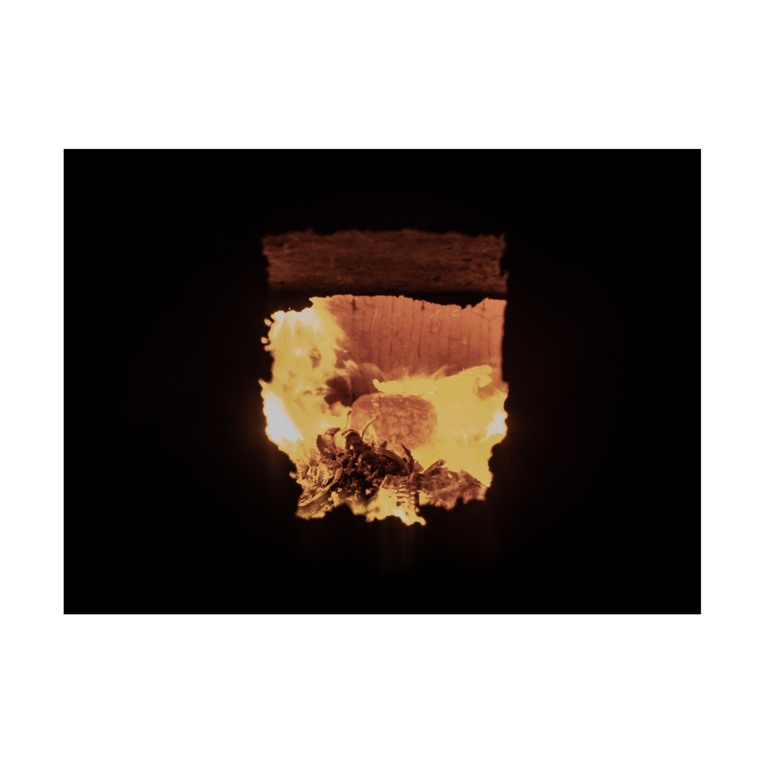 Phoenix. Nelly Elagina