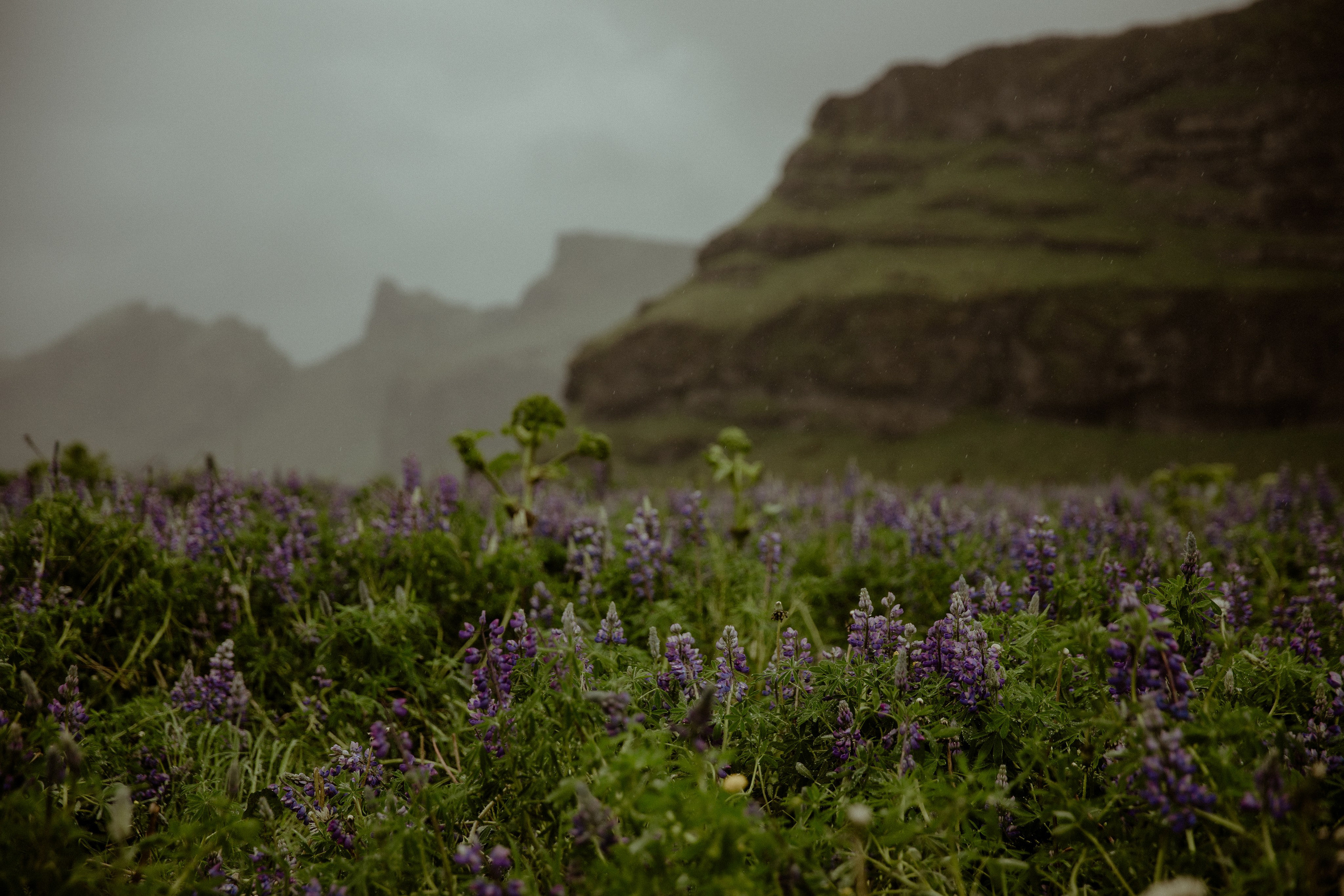 Iceland Elopement at Black Sand Beach. Iceland elopement photographer & videographer