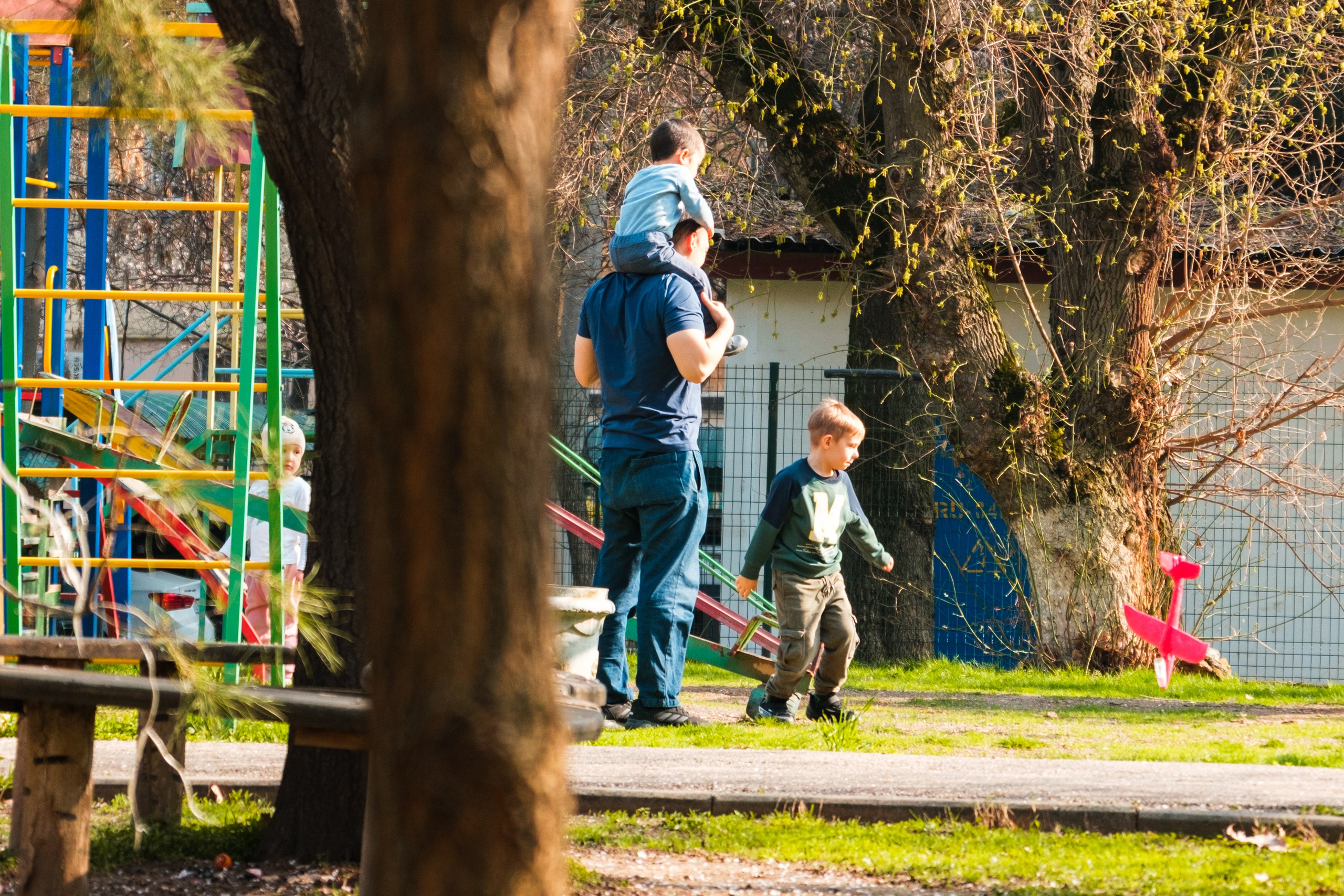 Обзор на объектив 16-300мм Sigma. Личные впечатления и опыт использования. Фотограф Григорий Кравец