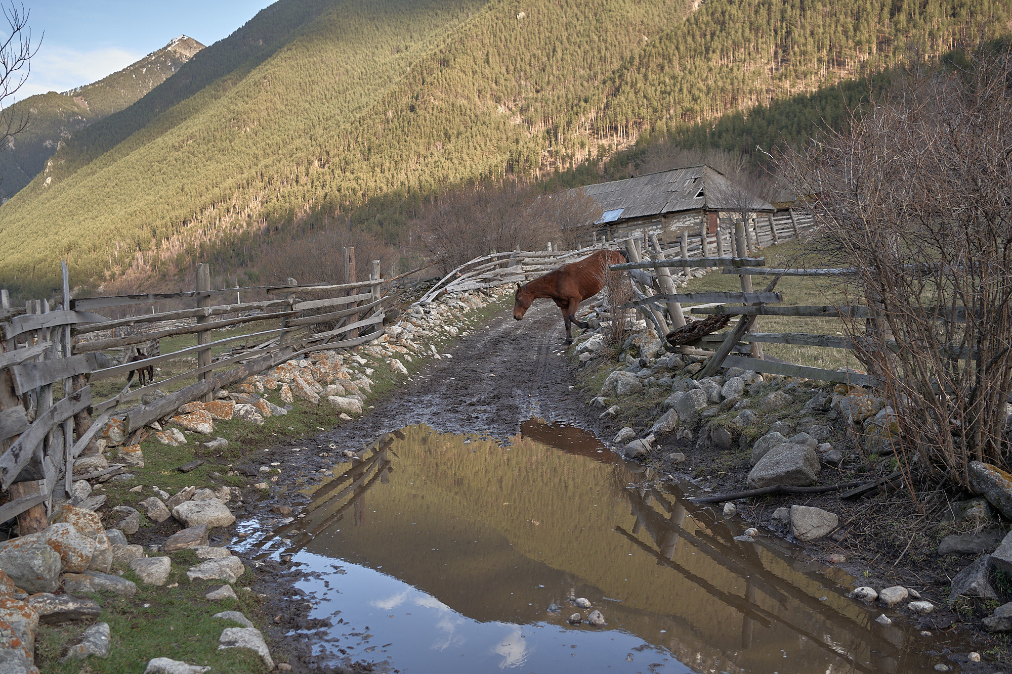 Deportation. GLISH ART — Timofey Glinin & Anastasia Shubina