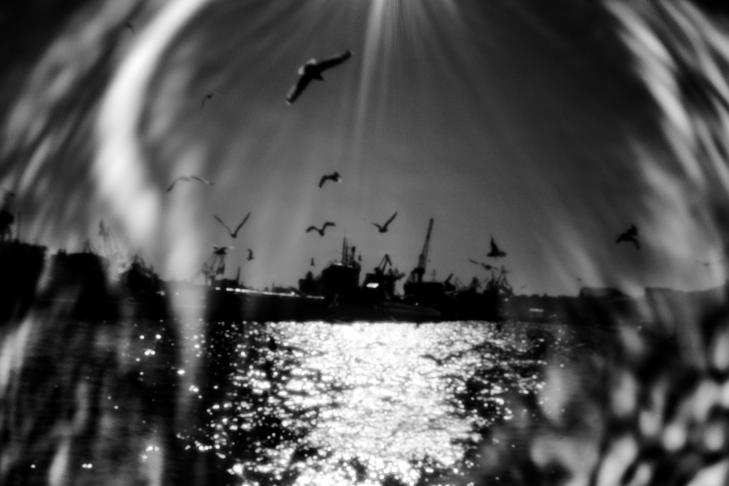 The Second Sun. GLISH ART — Timofey Glinin & Anastasia Shubina