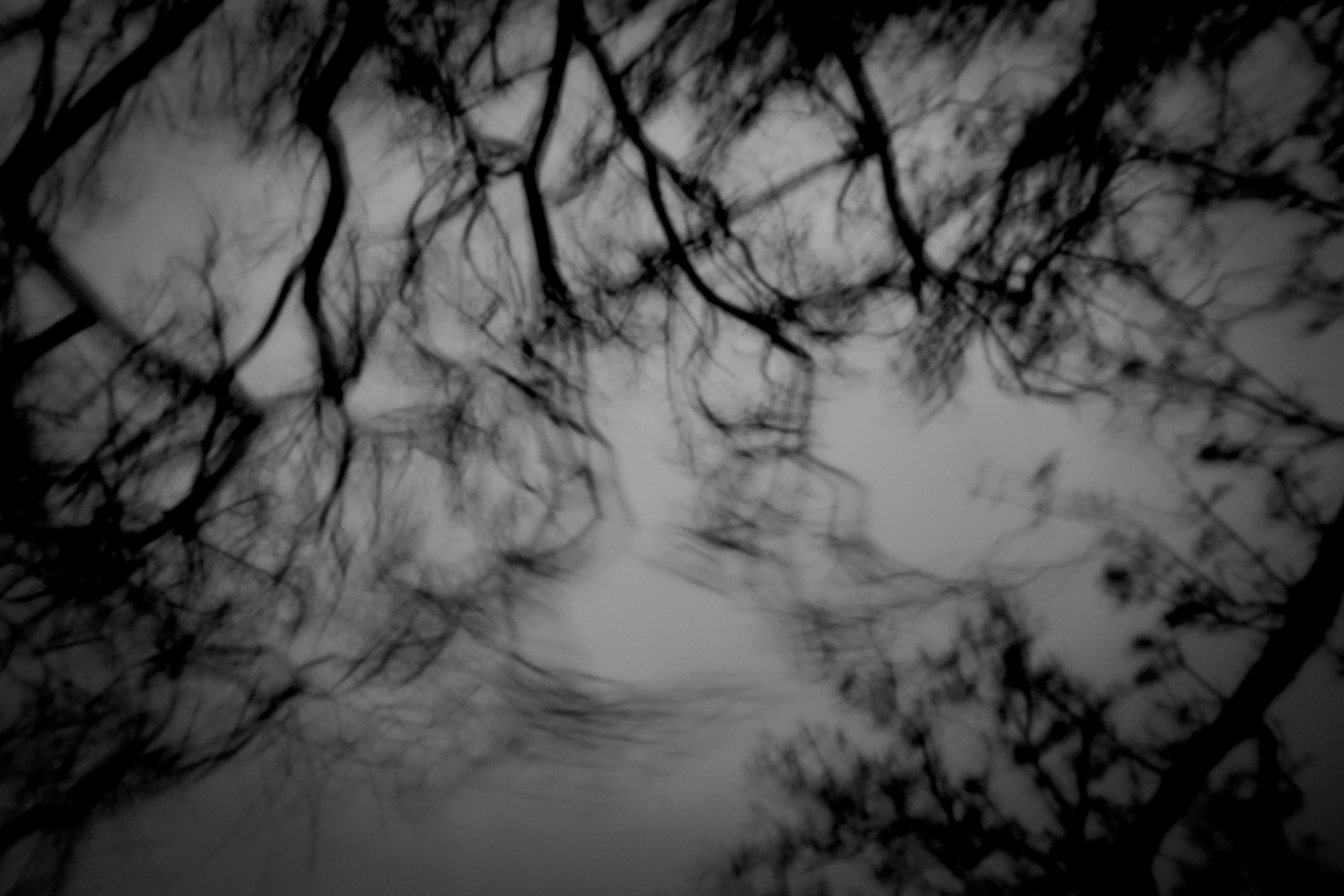 The Second Sun. GLISH ART — Timofey Glinin & Anastasia Shubina