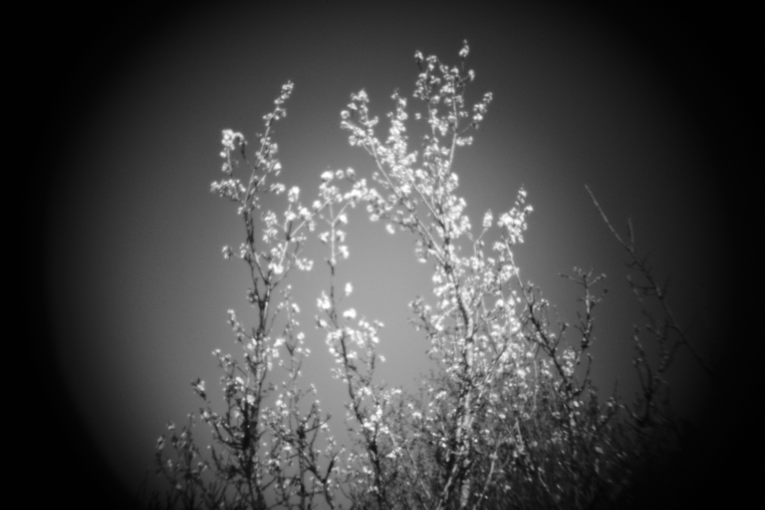 The Second Sun. GLISH ART — Timofey Glinin & Anastasia Shubina