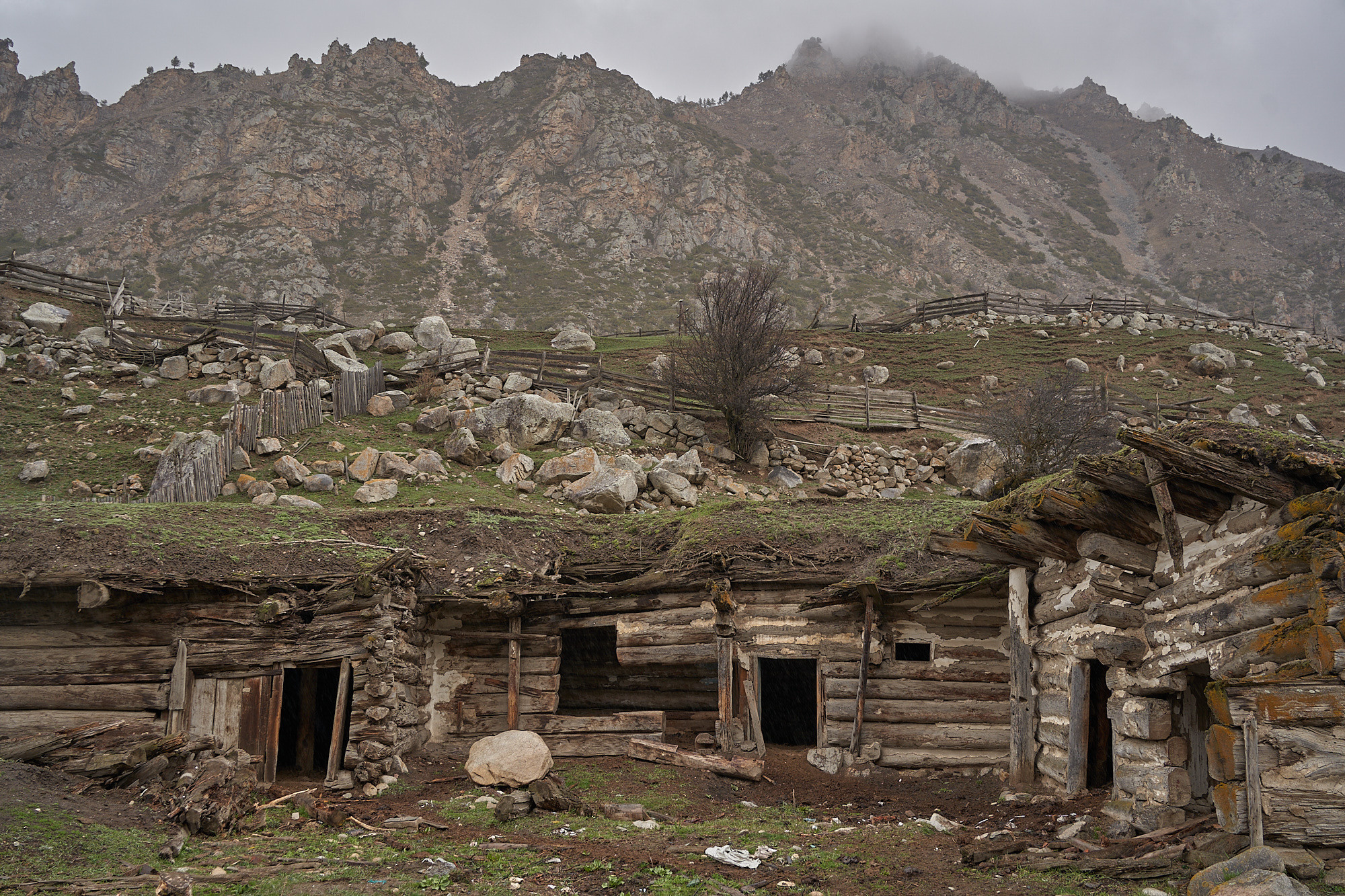 Deportation. GLISH ART — Timofey Glinin & Anastasia Shubina