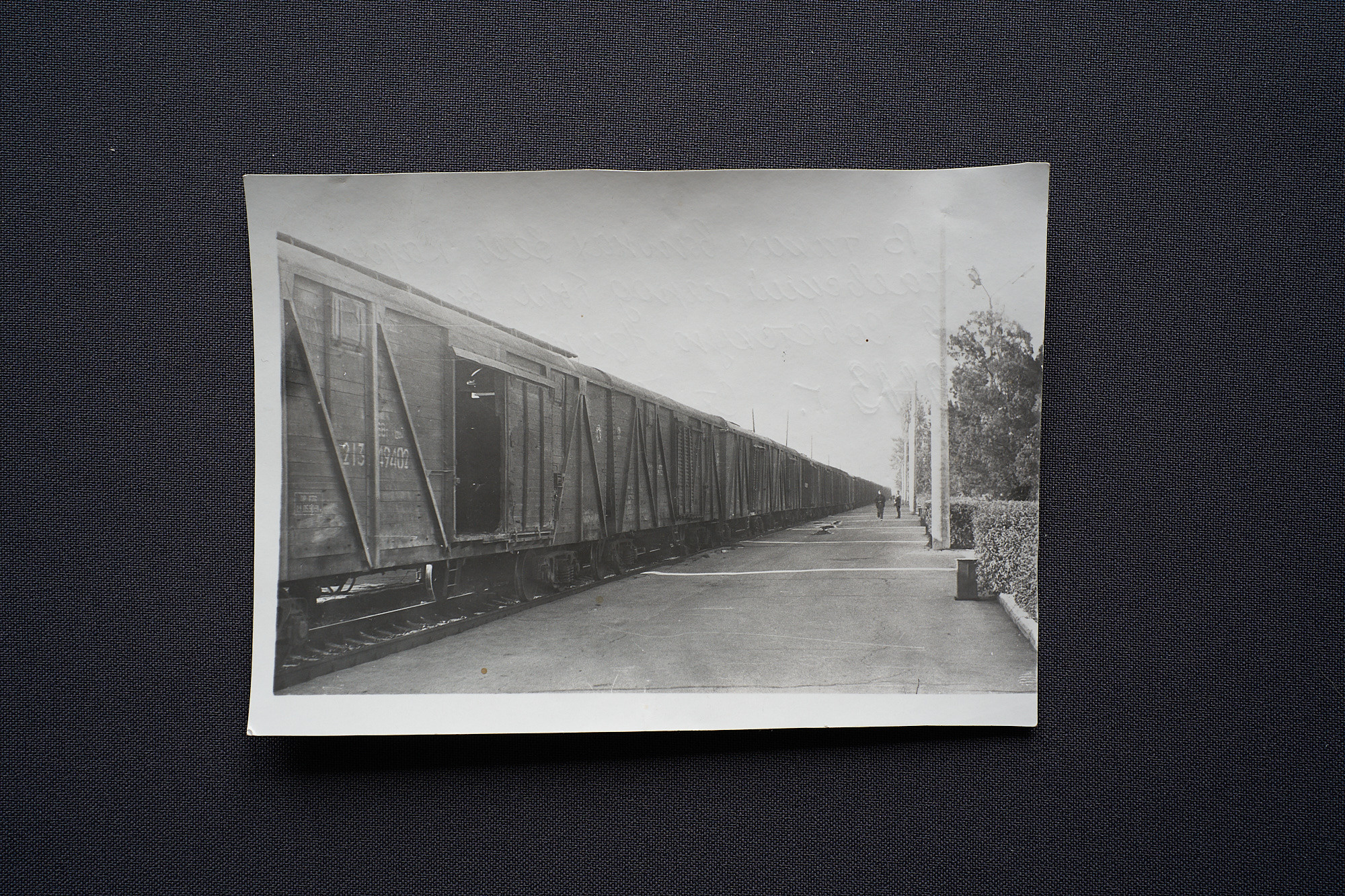 Deportation. GLISH ART — Timofey Glinin & Anastasia Shubina