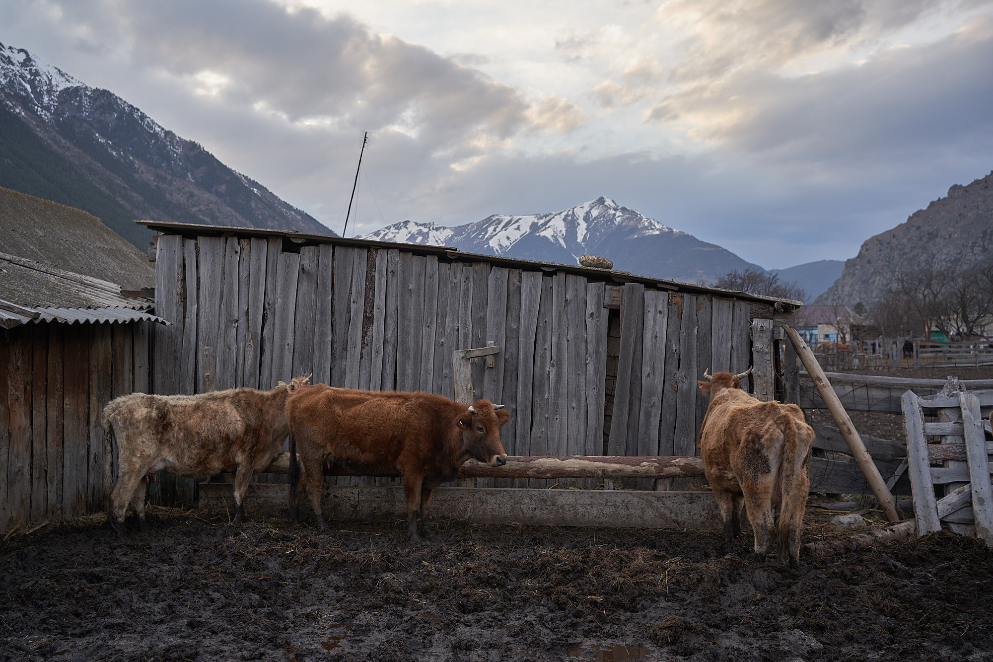 Deportation. GLISH ART — Timofey Glinin & Anastasia Shubina