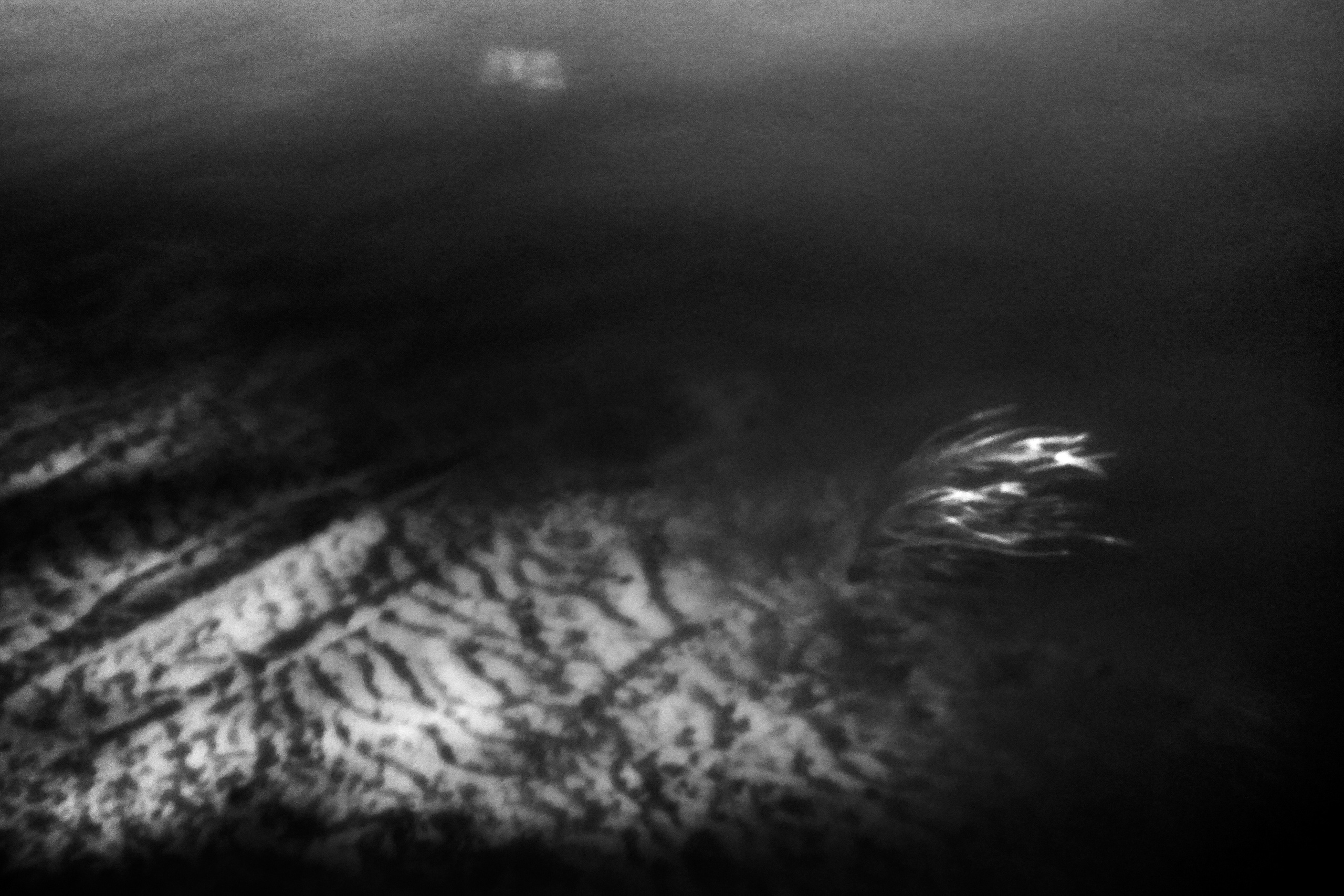 The Second Sun. GLISH ART — Timofey Glinin & Anastasia Shubina