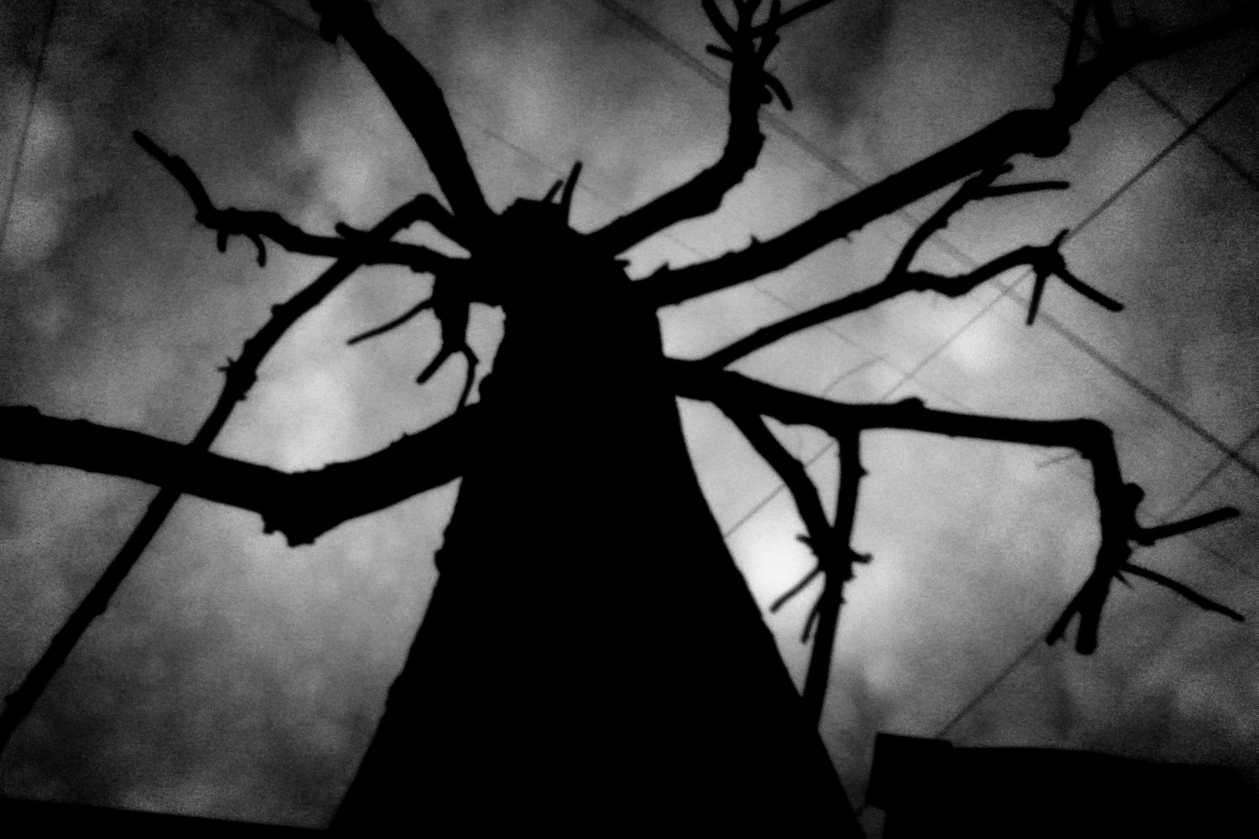 The Second Sun. GLISH ART — Timofey Glinin & Anastasia Shubina