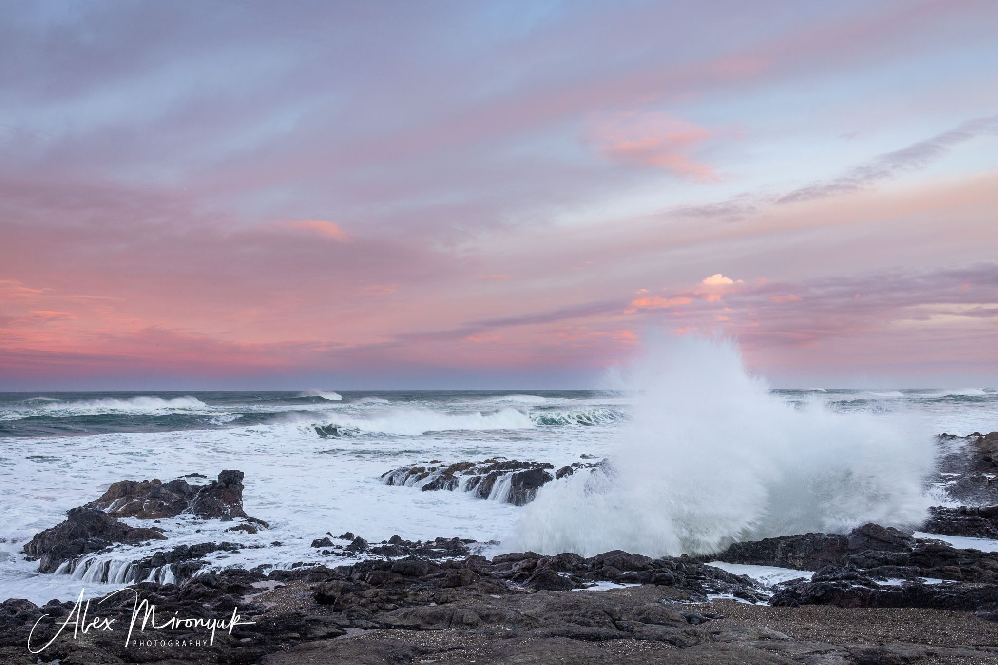 Oregon Coast Photo Workshop. Pet, Senior, Landscape, portrait studio, photographer in Miami and Sou