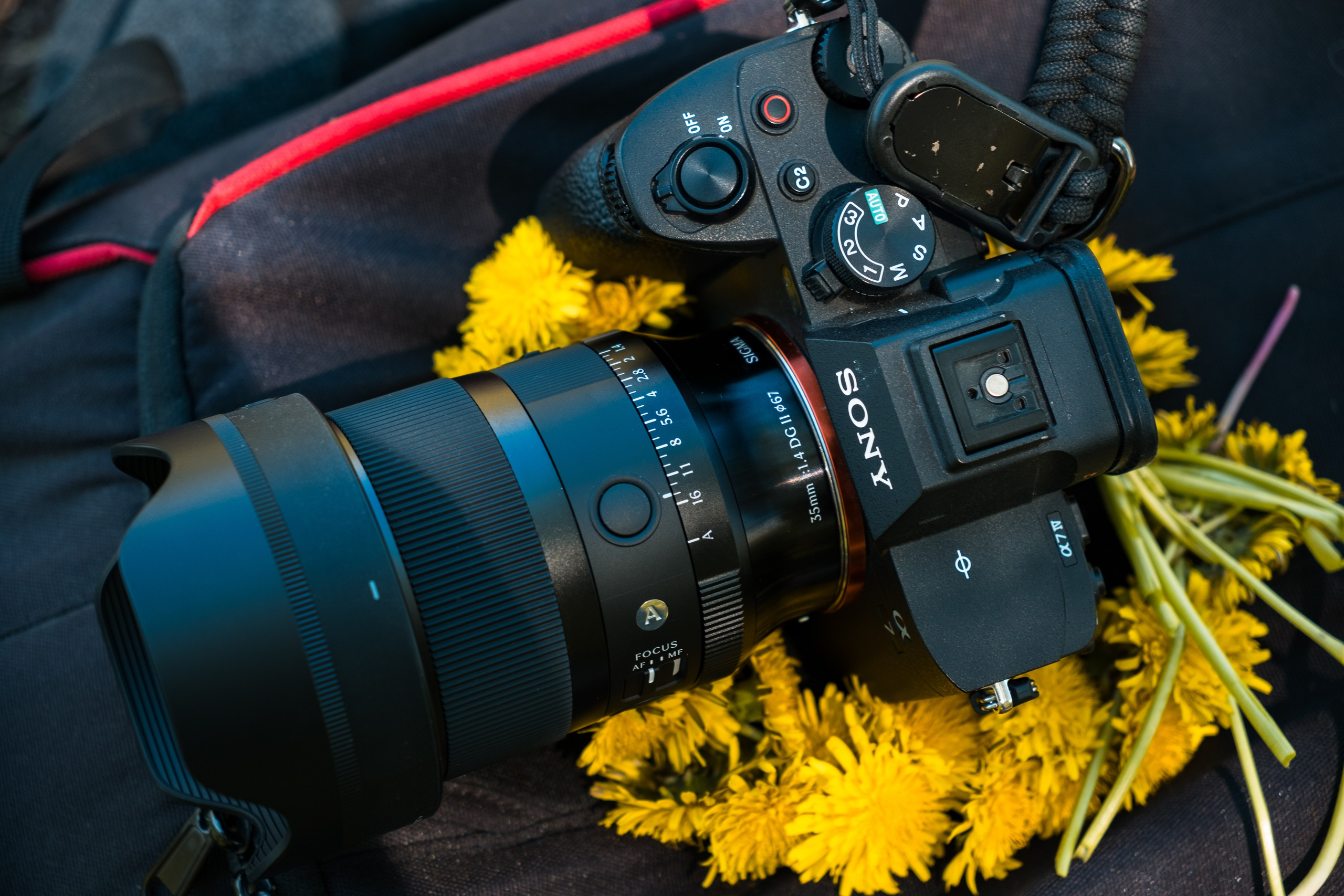 Вторая версия объектива Sigma 35 mm F1.4 DG Art. Обзор и опыт использования. Фотограф Григорий Кравец