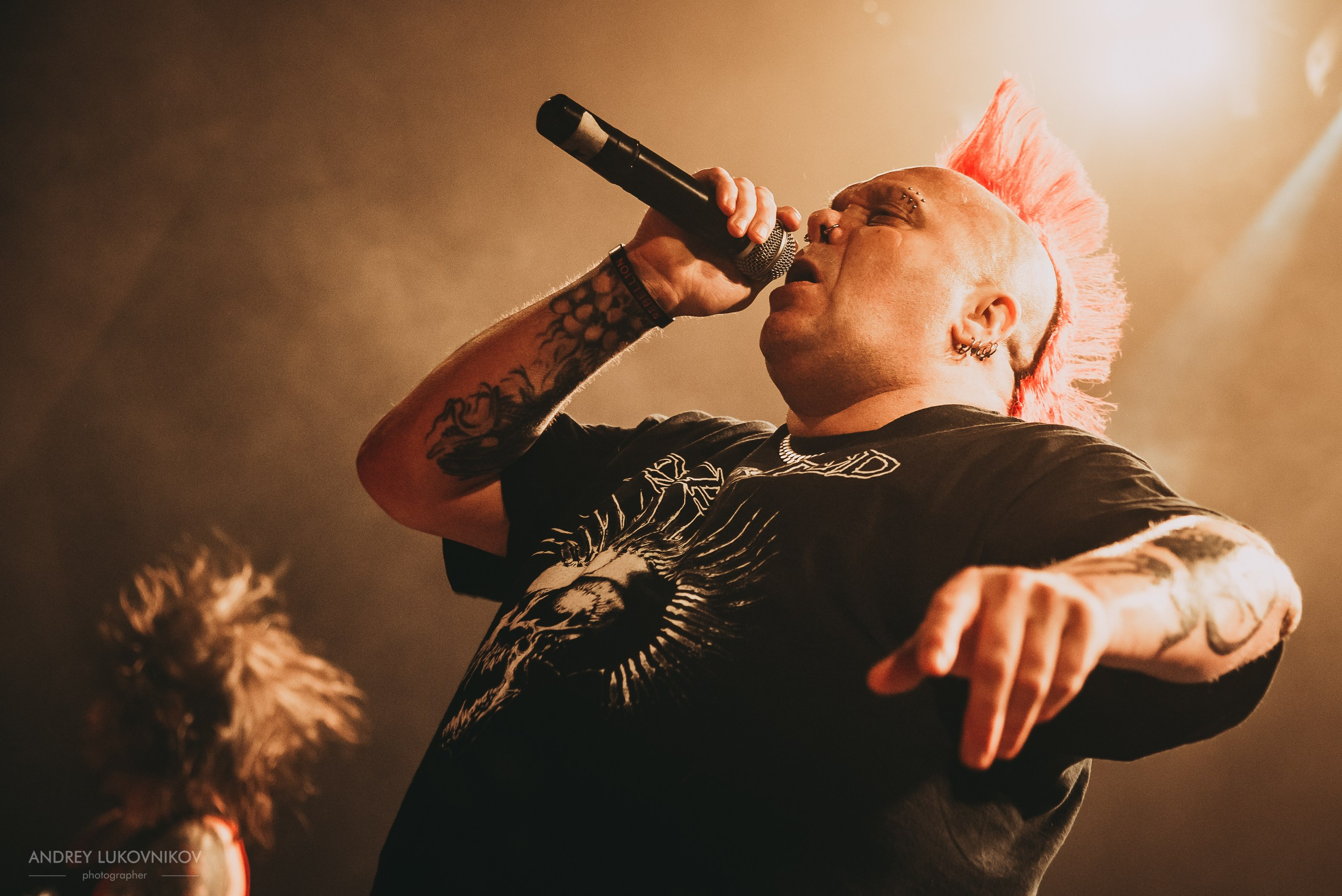 The Exploited. Tour 2017