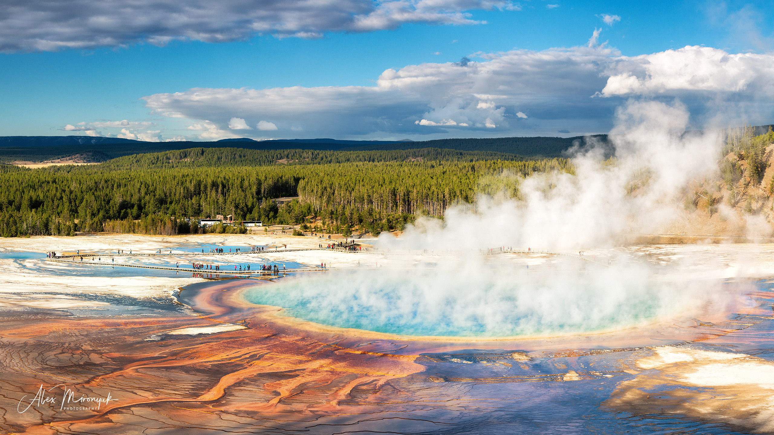 Yellowstone & Grand Teton. Pet, Senior, Landscape, portrait studio, photographer in Miami and Sou