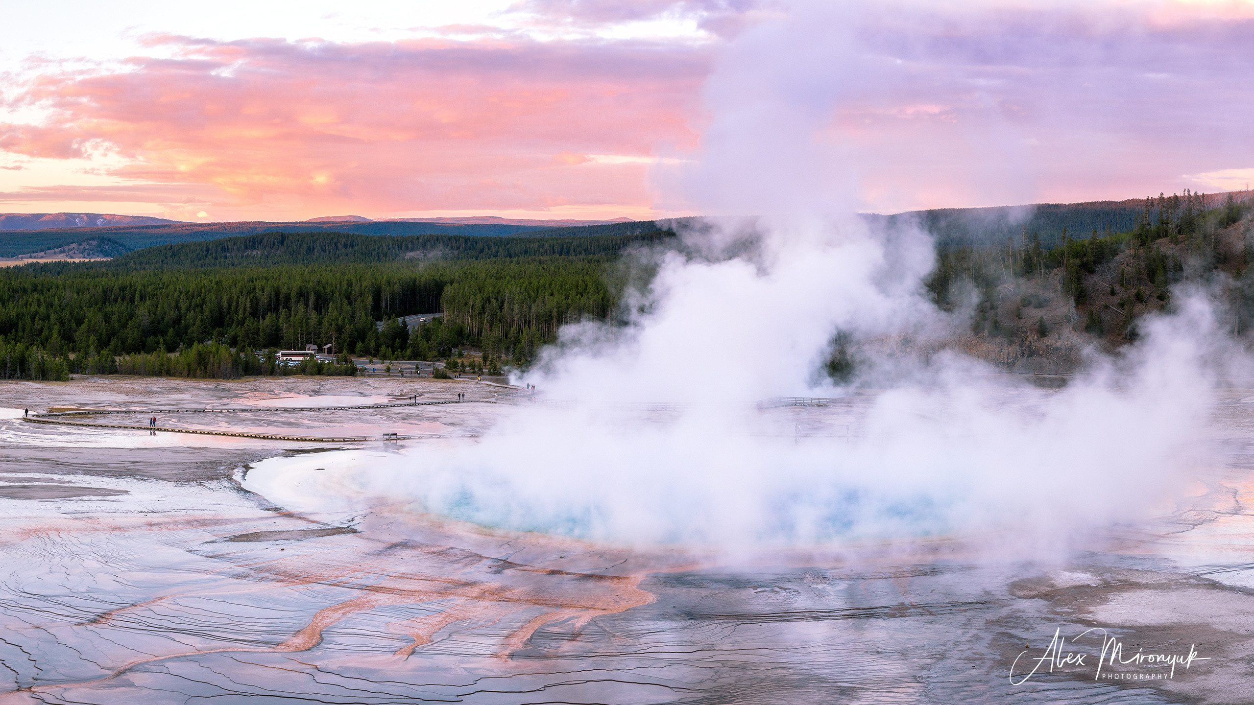 Yellowstone & Grand Teton. Pet, Senior, Landscape, portrait studio, photographer in Miami and Sou
