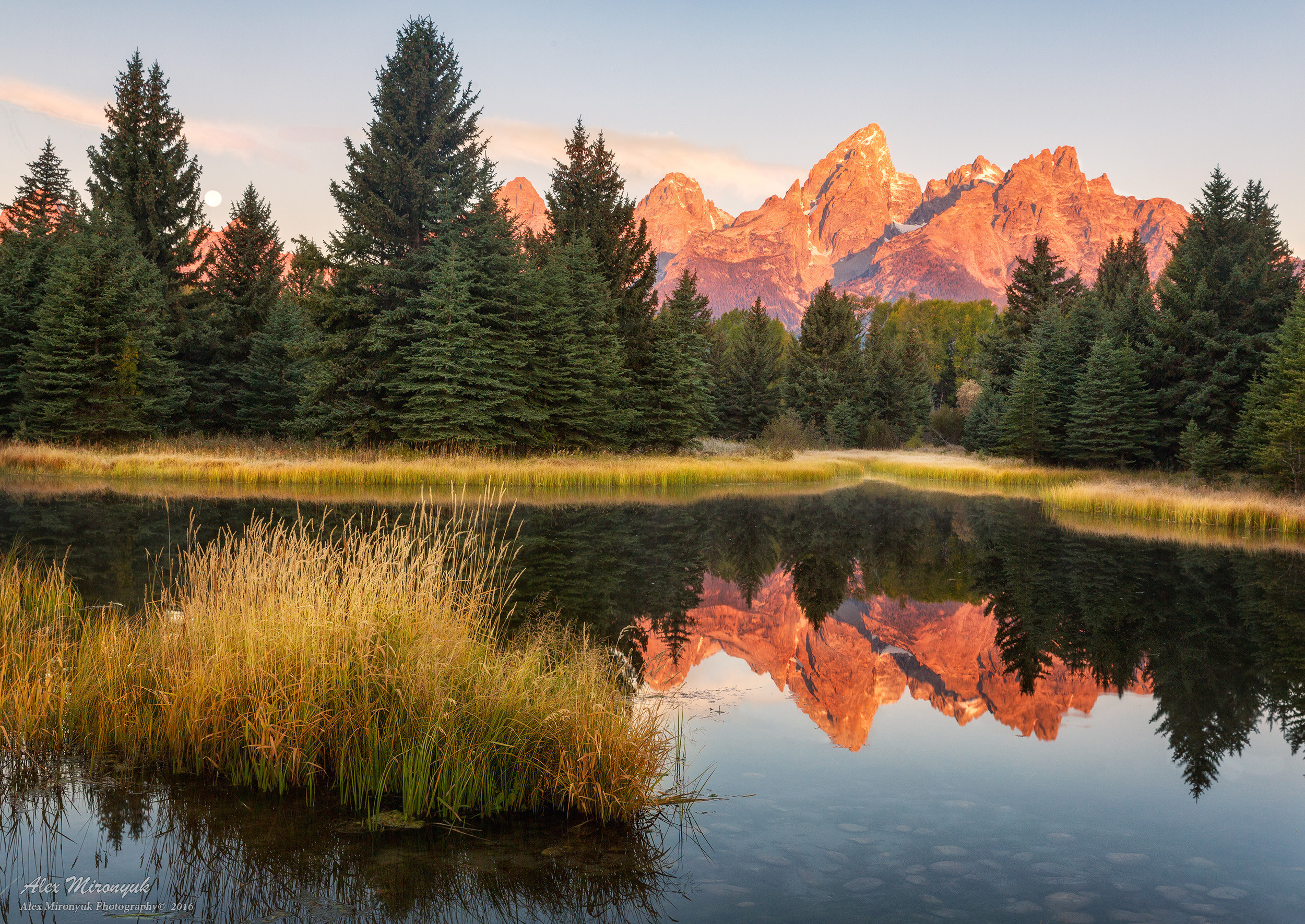 Yellowstone & Grand Teton. Pet, Senior, Landscape, portrait studio, photographer in Miami and Sou