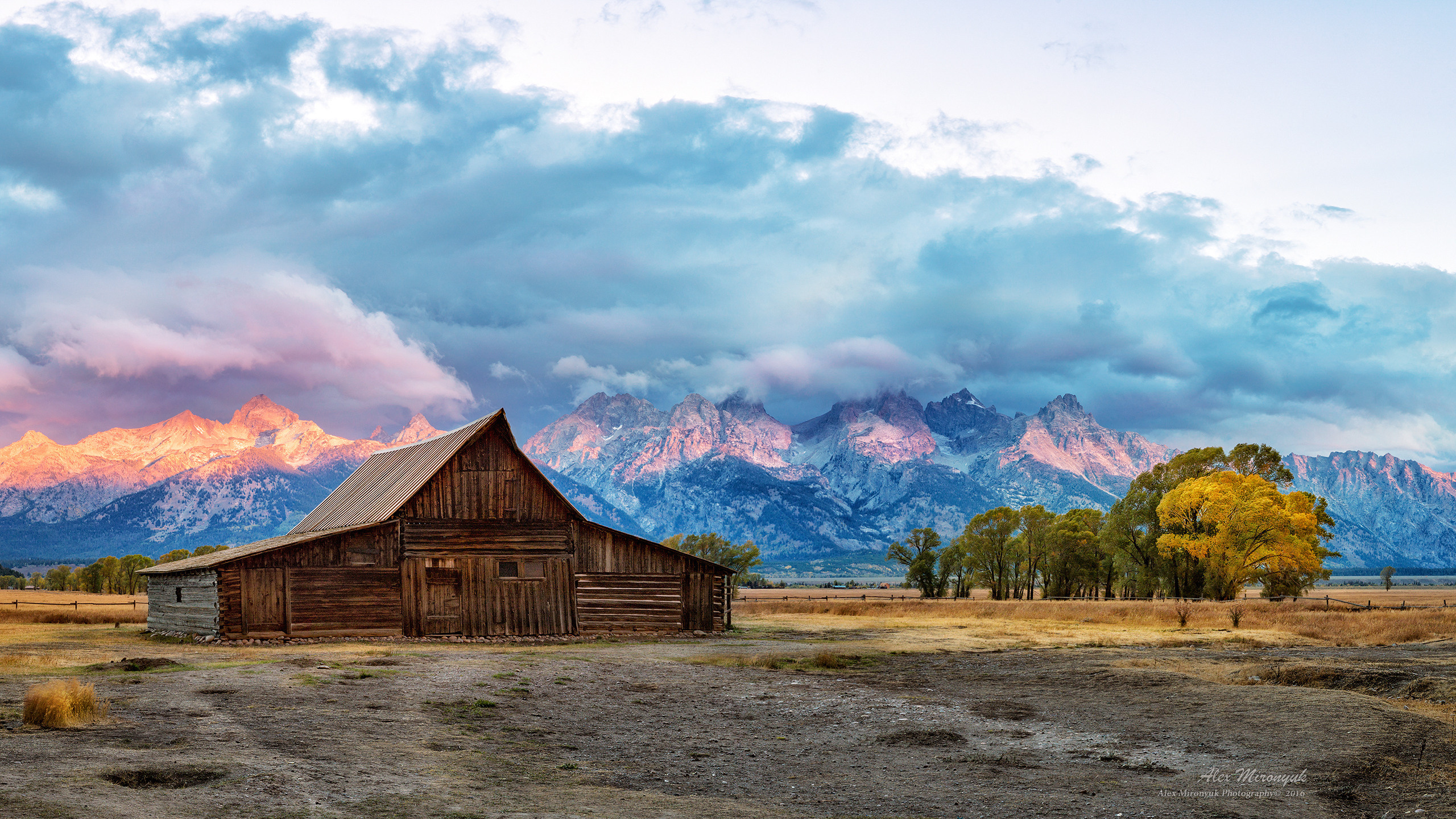 Yellowstone & Grand Teton. Pet, Senior, Landscape, portrait studio, photographer in Miami and Sou