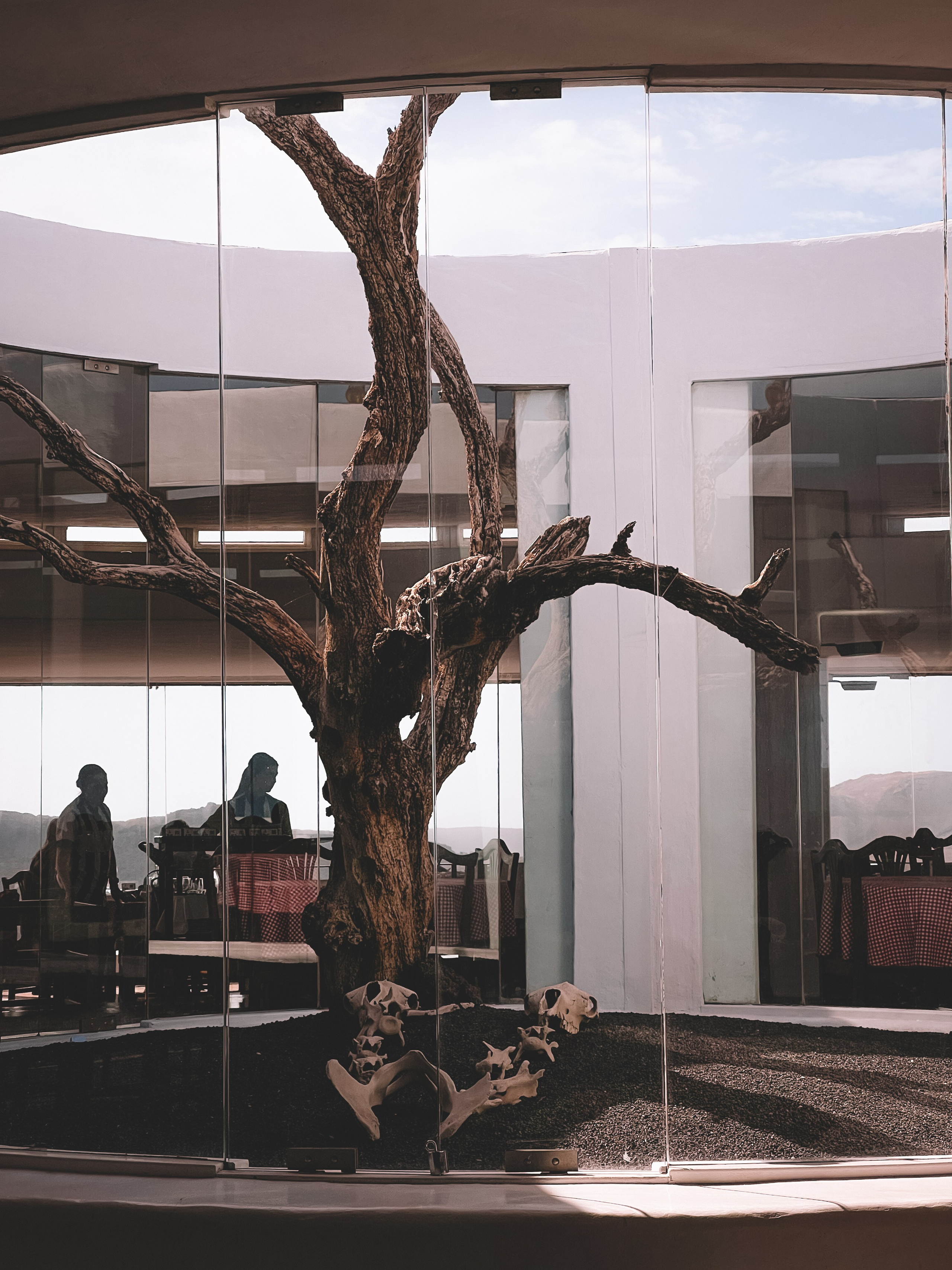 Lanzarote. Ivlianna Travels — travel blog with photography tips