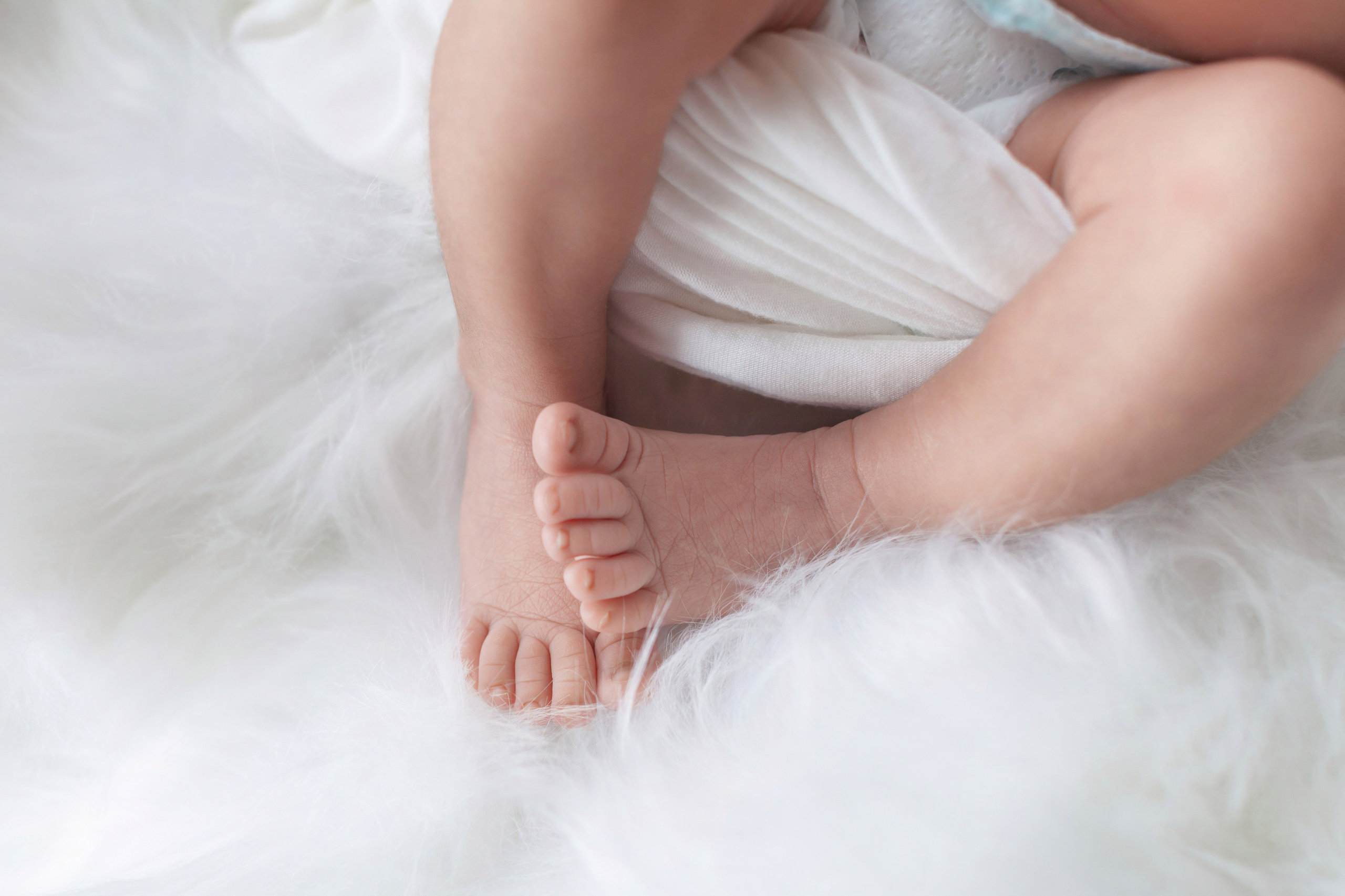 Services. Marina Pravda Photography San Francisco Bay Area