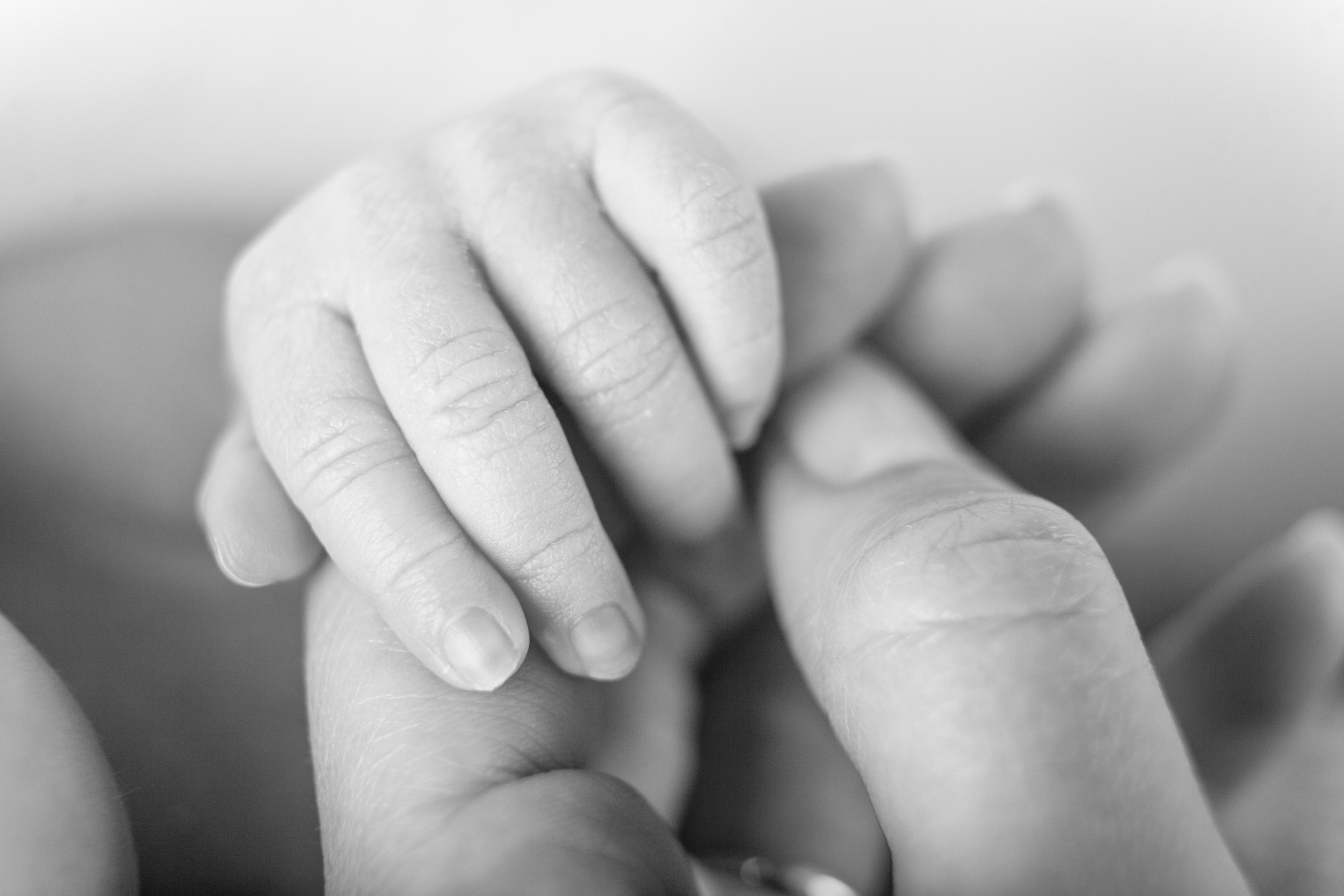 Services. Marina Pravda Photography San Francisco Bay Area