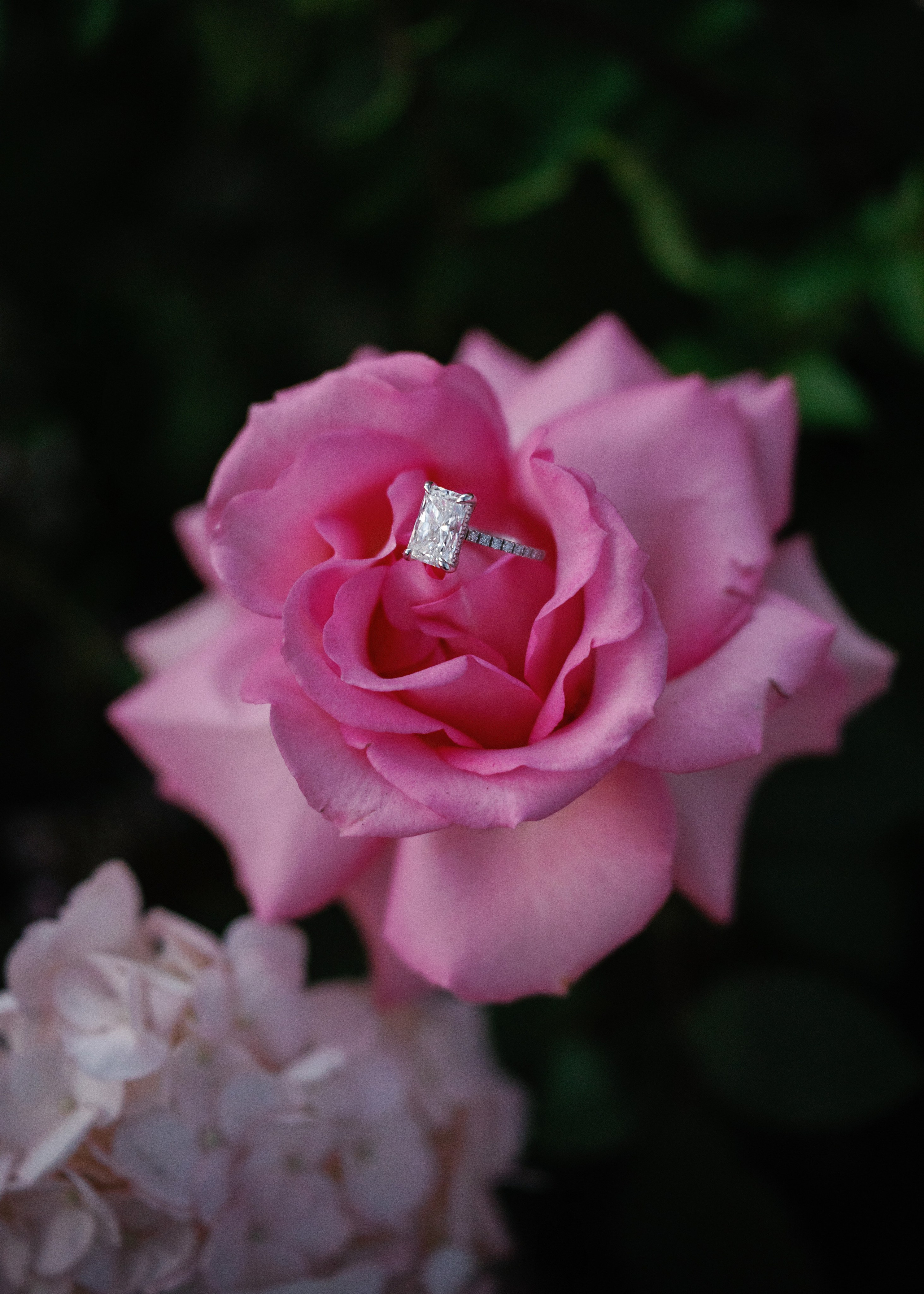 Proposals California. Wedding Photography & Videography Team in California, Los Angeles, San Francisco, San Diego and Travel