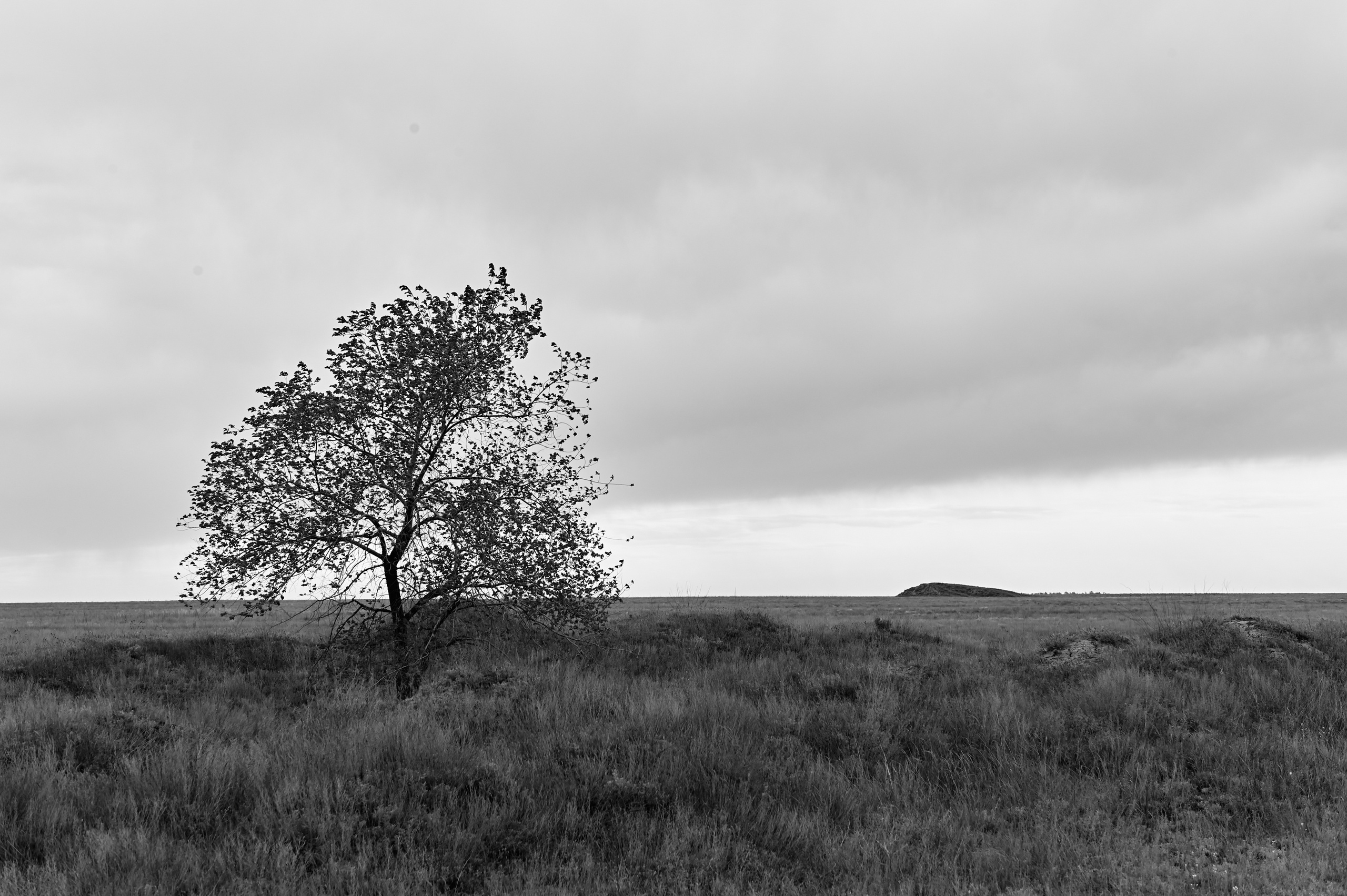 ЖД THE IRON ROAD. Grigoriy Yaroshenko photography | Фотограф Григорий Ярошенко