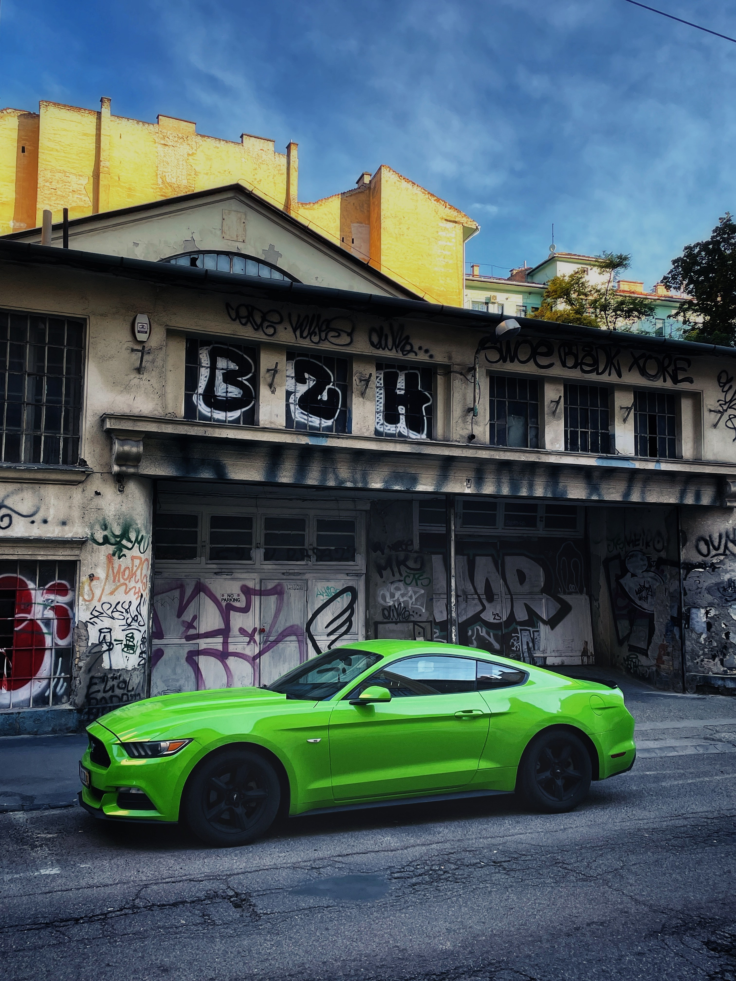 Green mustang