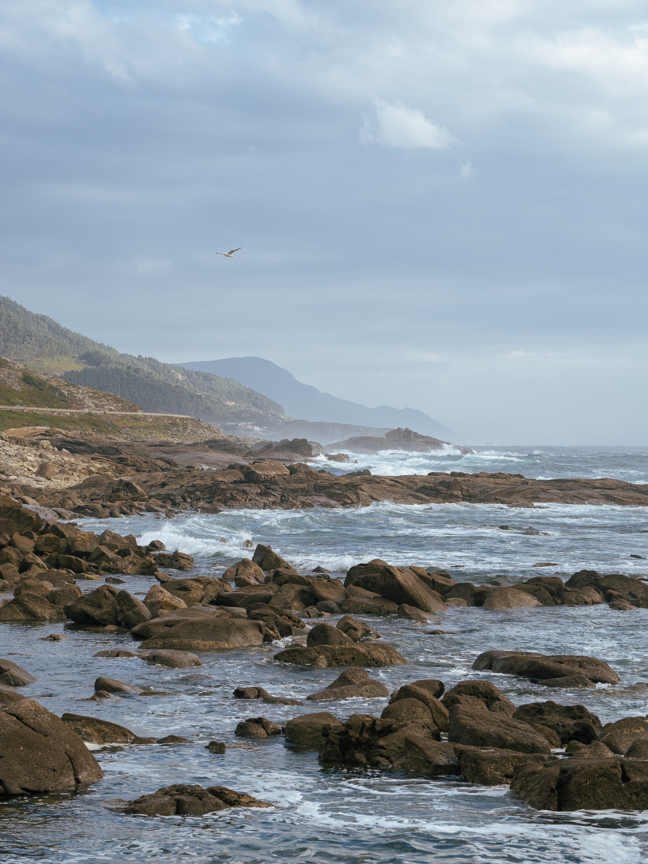 Creative Inspiration for Photographers & Artists. Photos of Galicia. Photographer in Madrid, Spain. Alyona Belyaninova