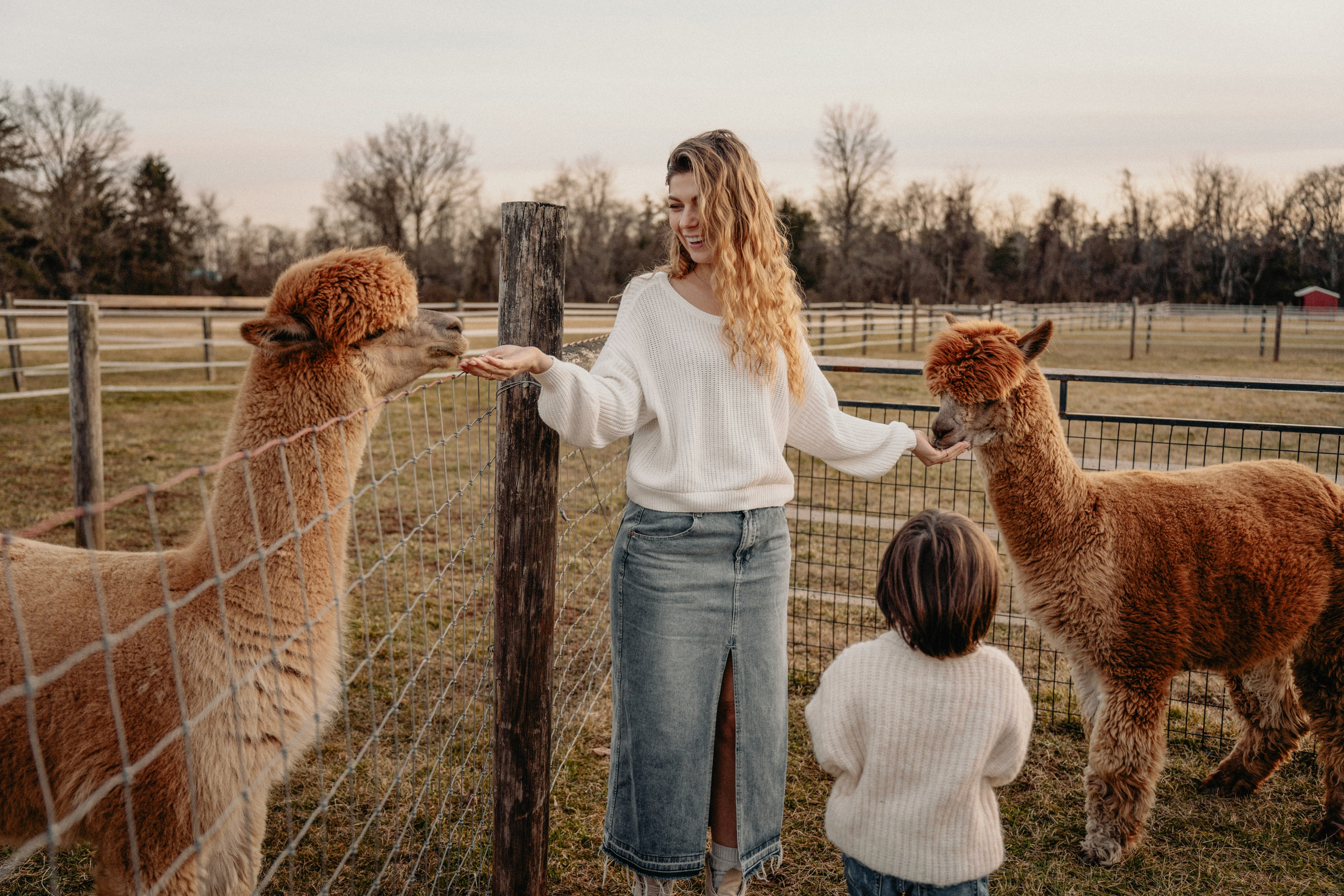 Unique Family Photography at an Alpaca Farm – Fun & Playful. Alisa Tant — Family and newborn photographer Bucks County, Montgomery county, Philadelphia, NJ